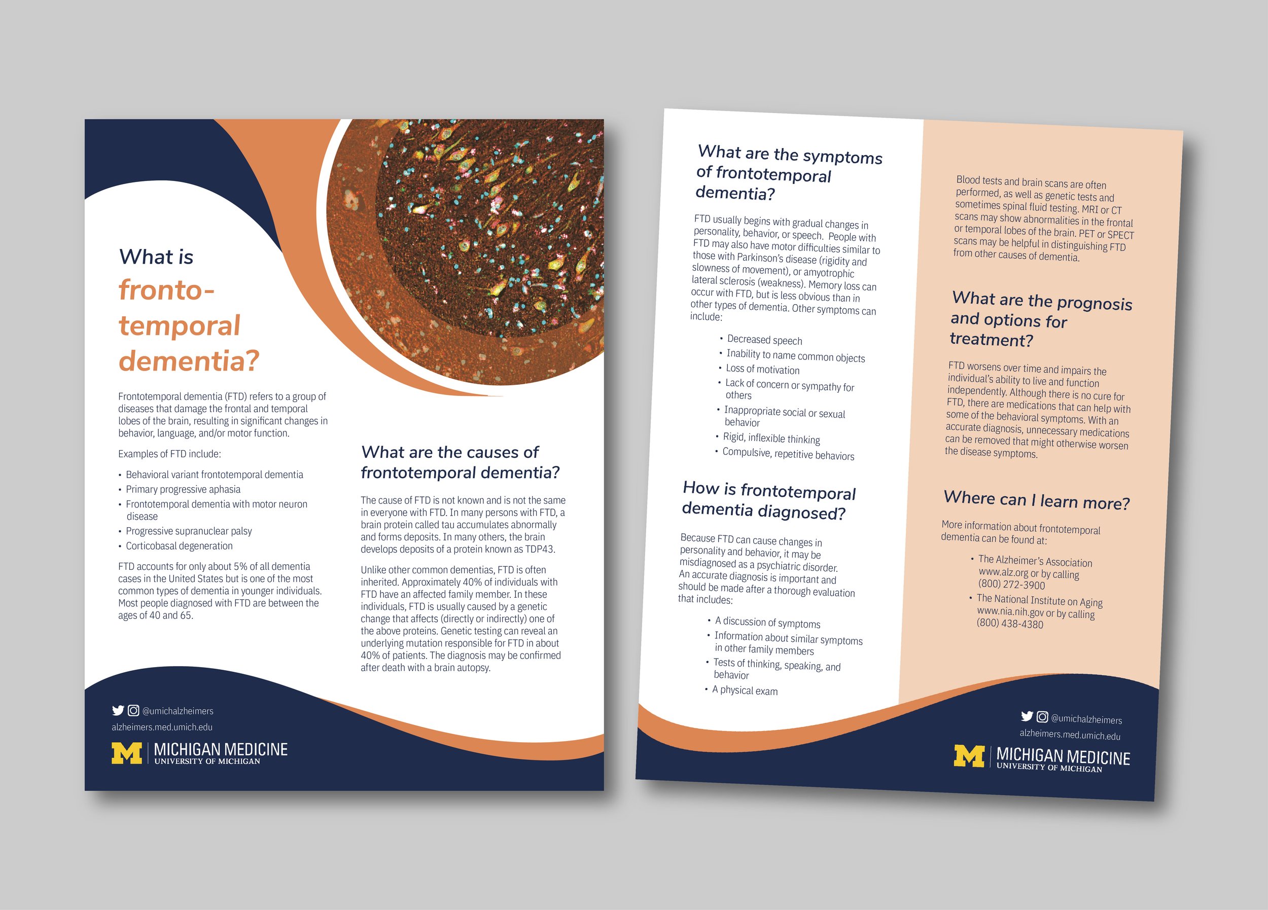 Flyer 2.jpg