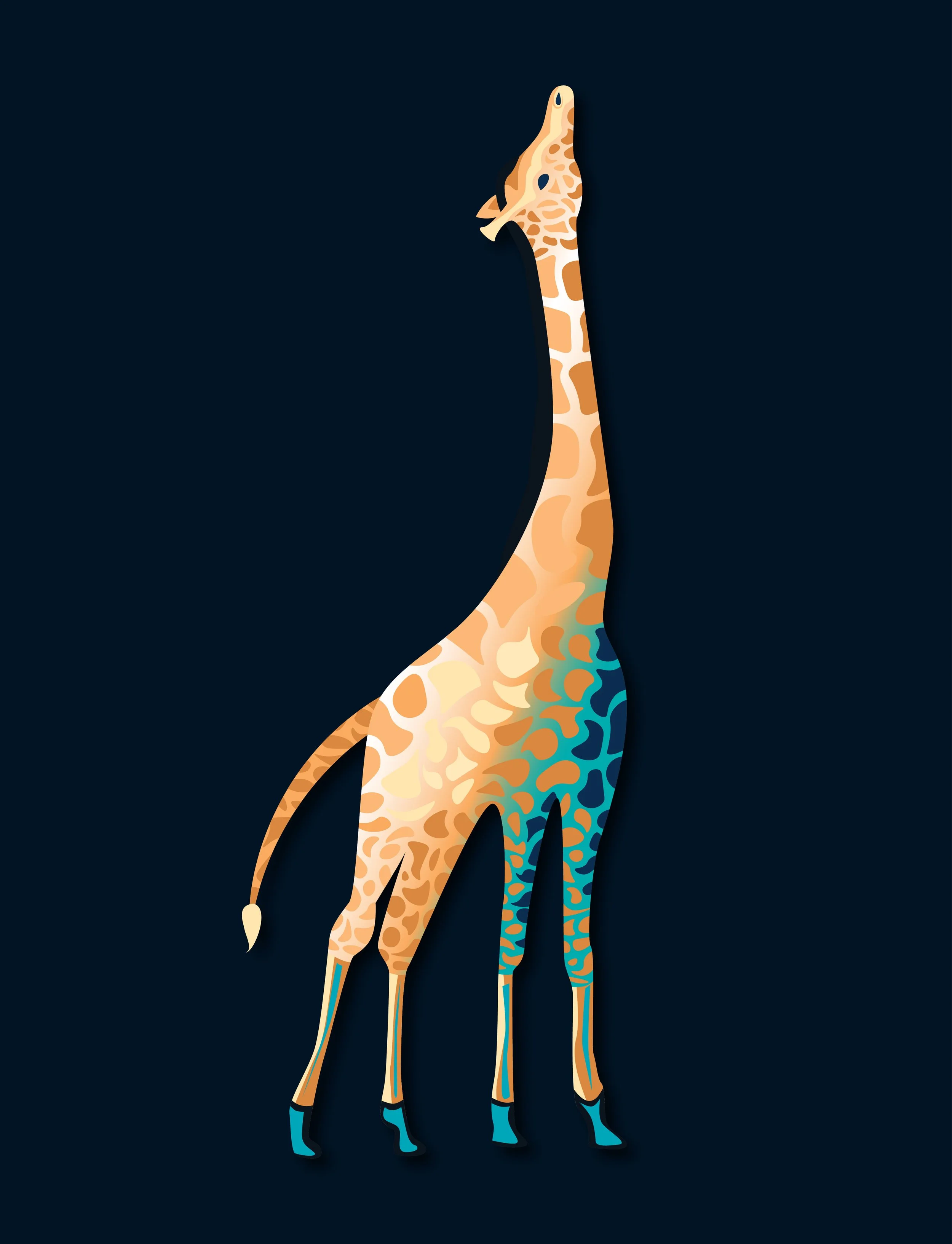 Animals 5.jpg