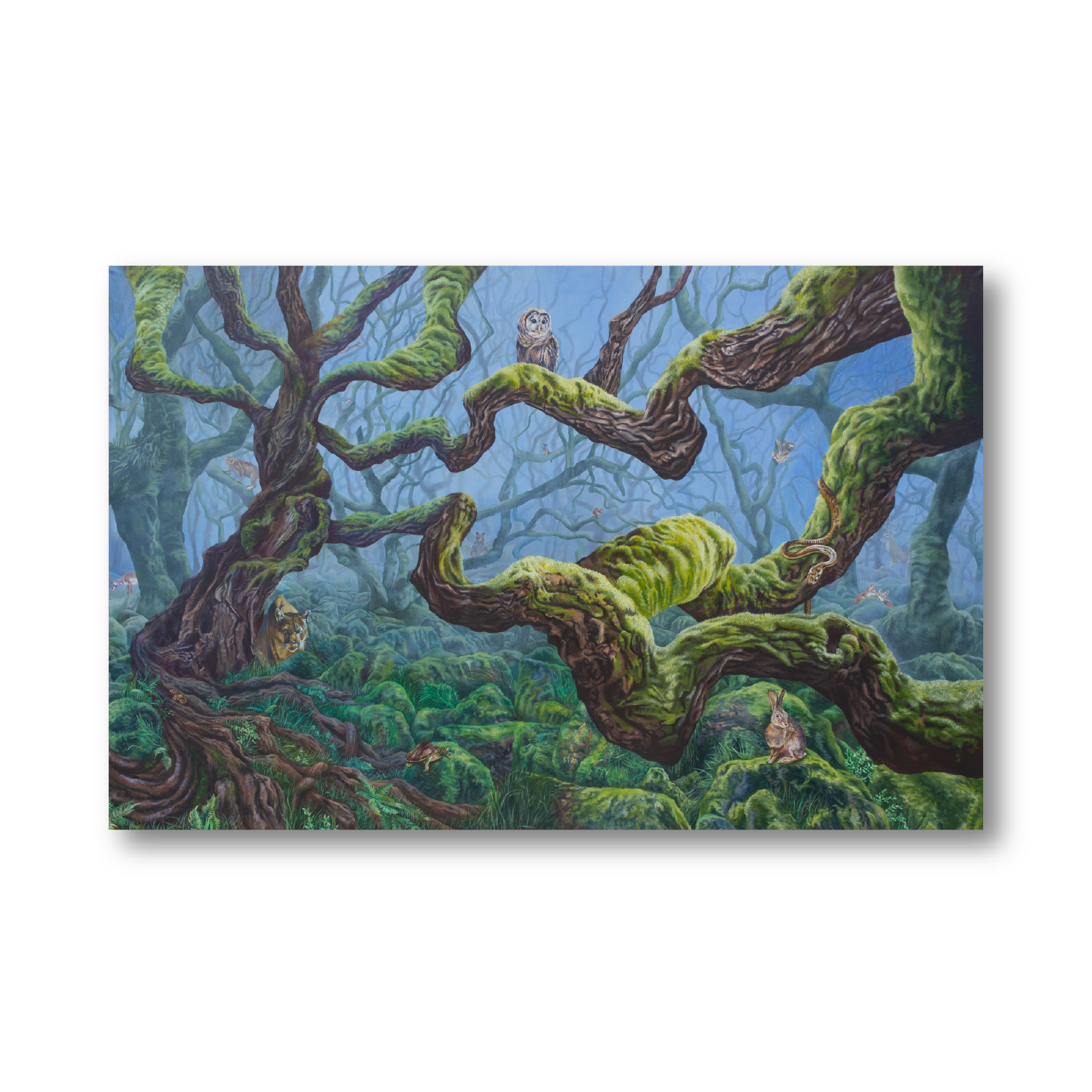 website image 2.png
