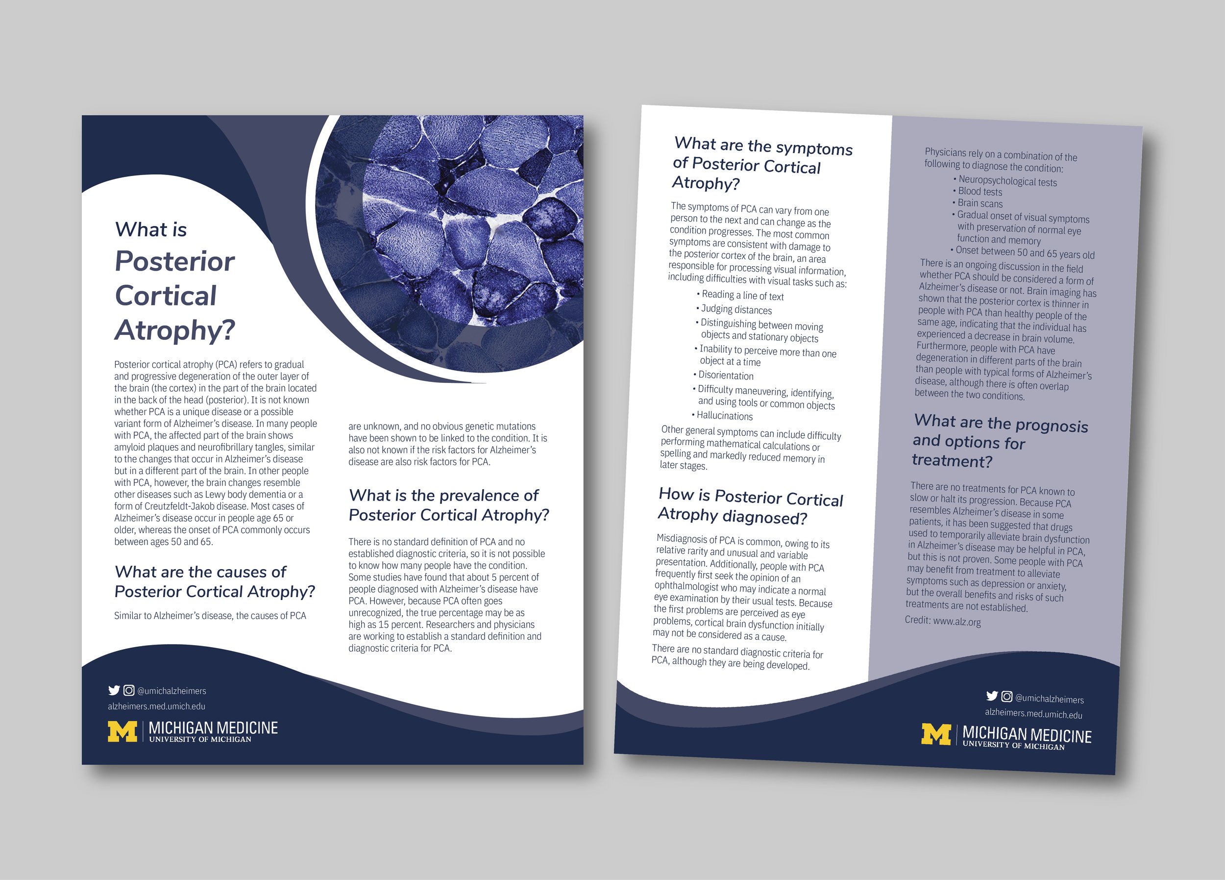 Flyer 3.jpg