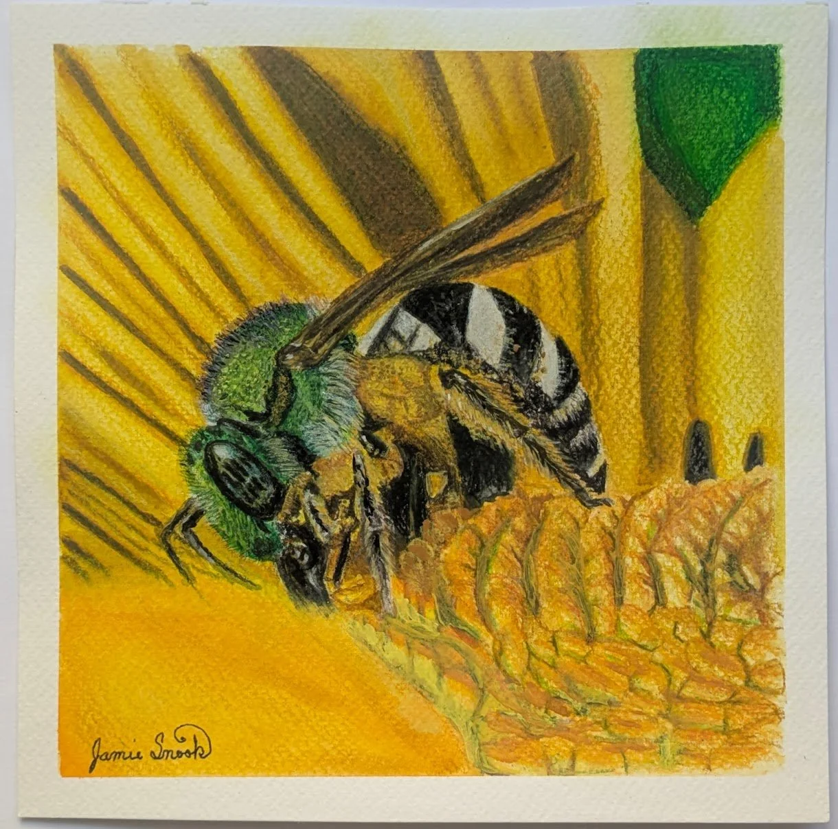 Colorful drawing of a bee on a honeycomb, with a yellow and orange background and a green triangle in the upper right corner.