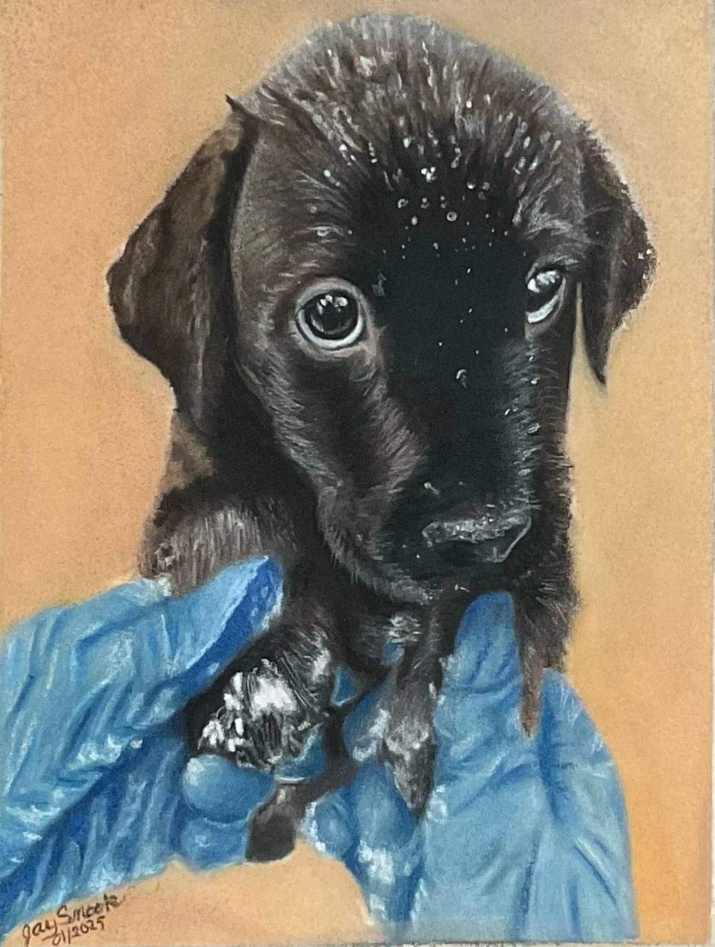 Puppies First Bath