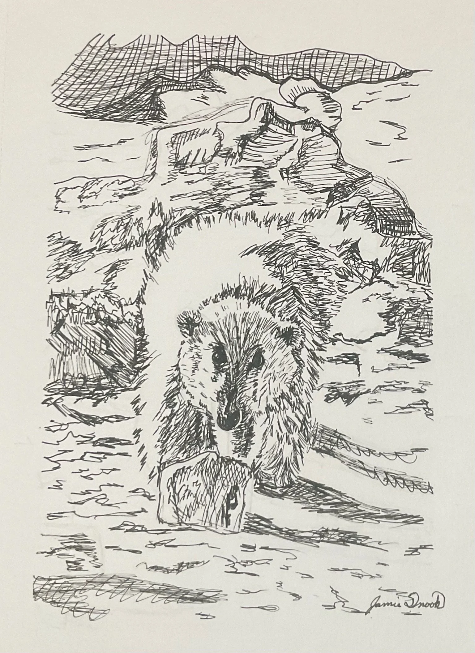 Line drawing of a bear walking towards the viewer with mountains in the background and trees around it.