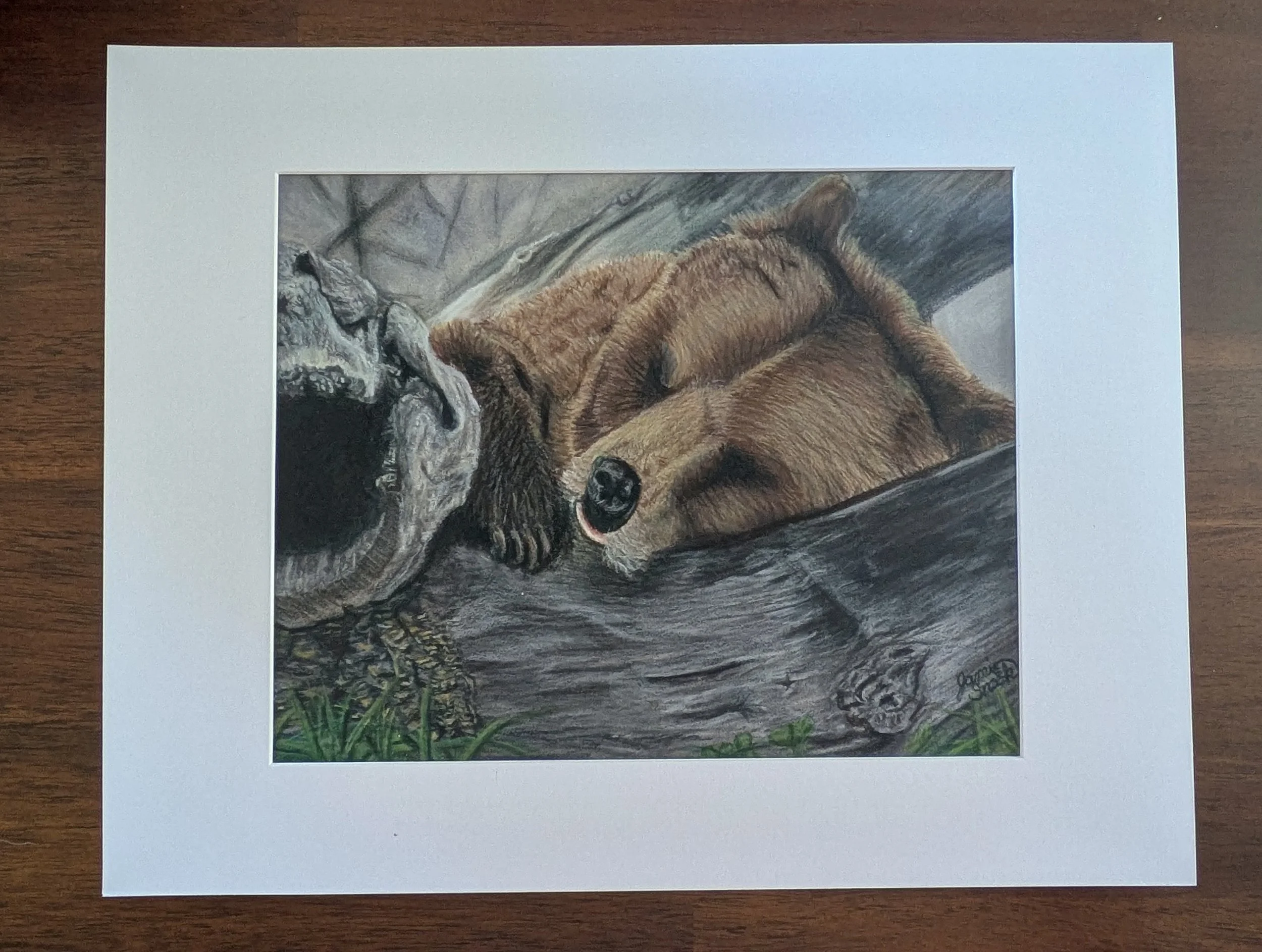 Sleepy Brown Bear