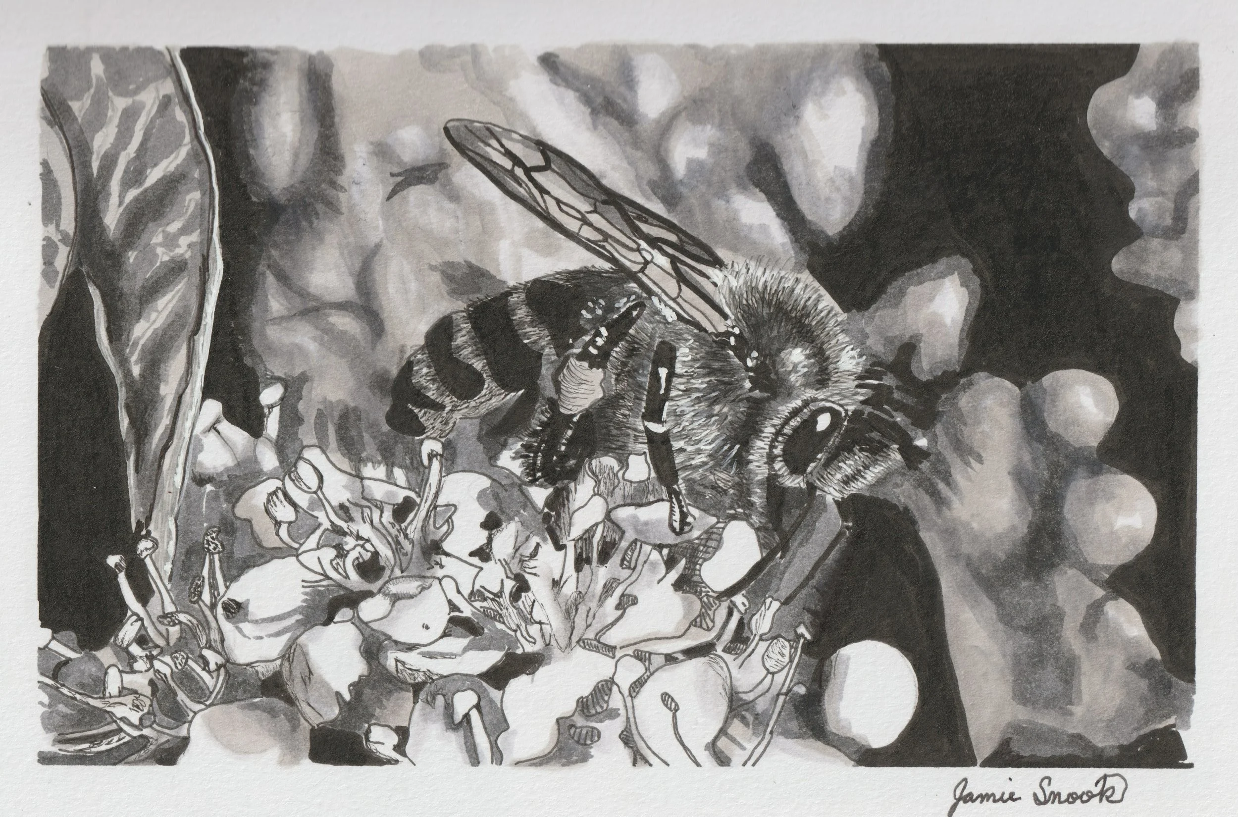 A black and white drawing of a honeybee on a flower with large petals, surrounded by abstract background patterns.