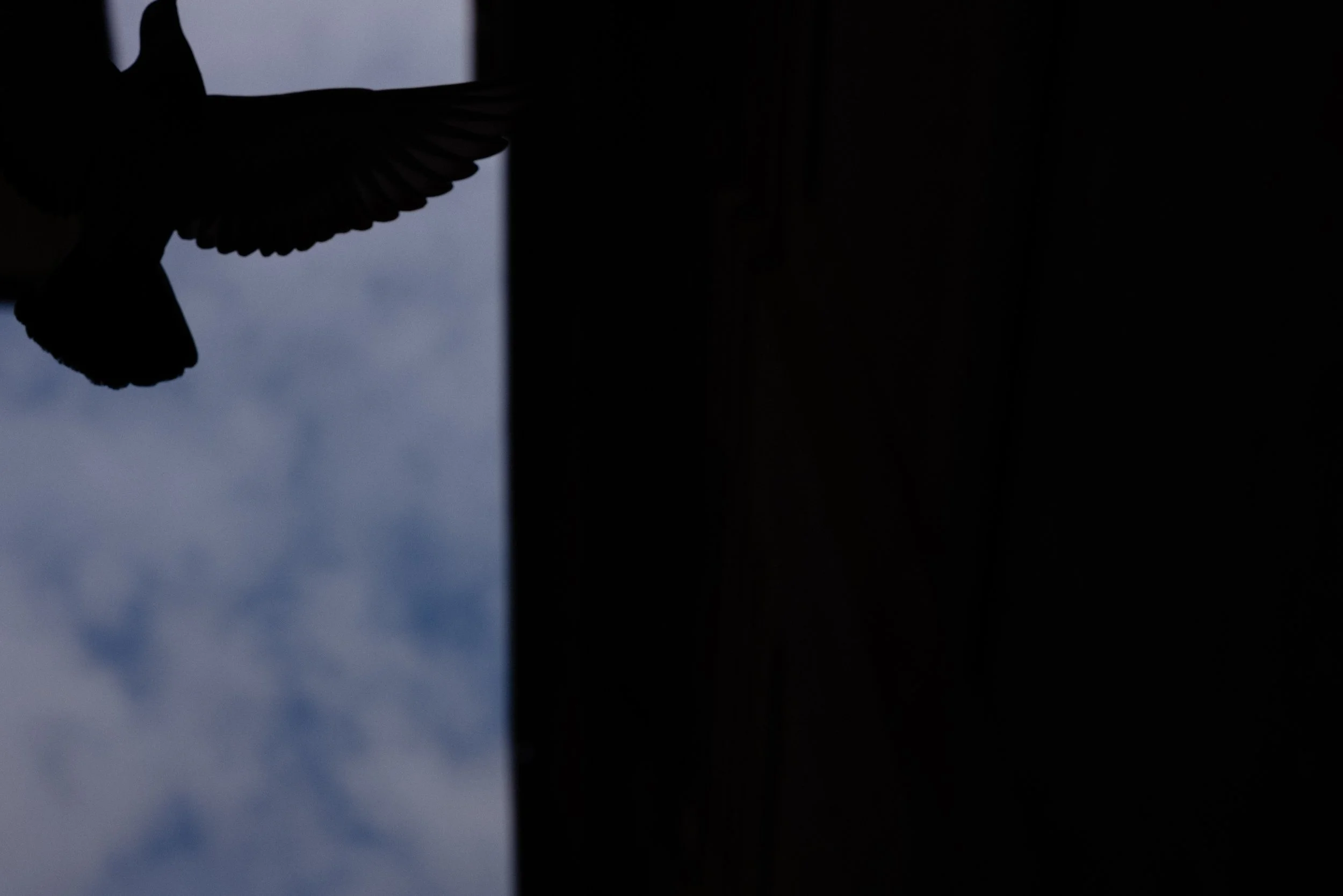 L1100568.jpg
