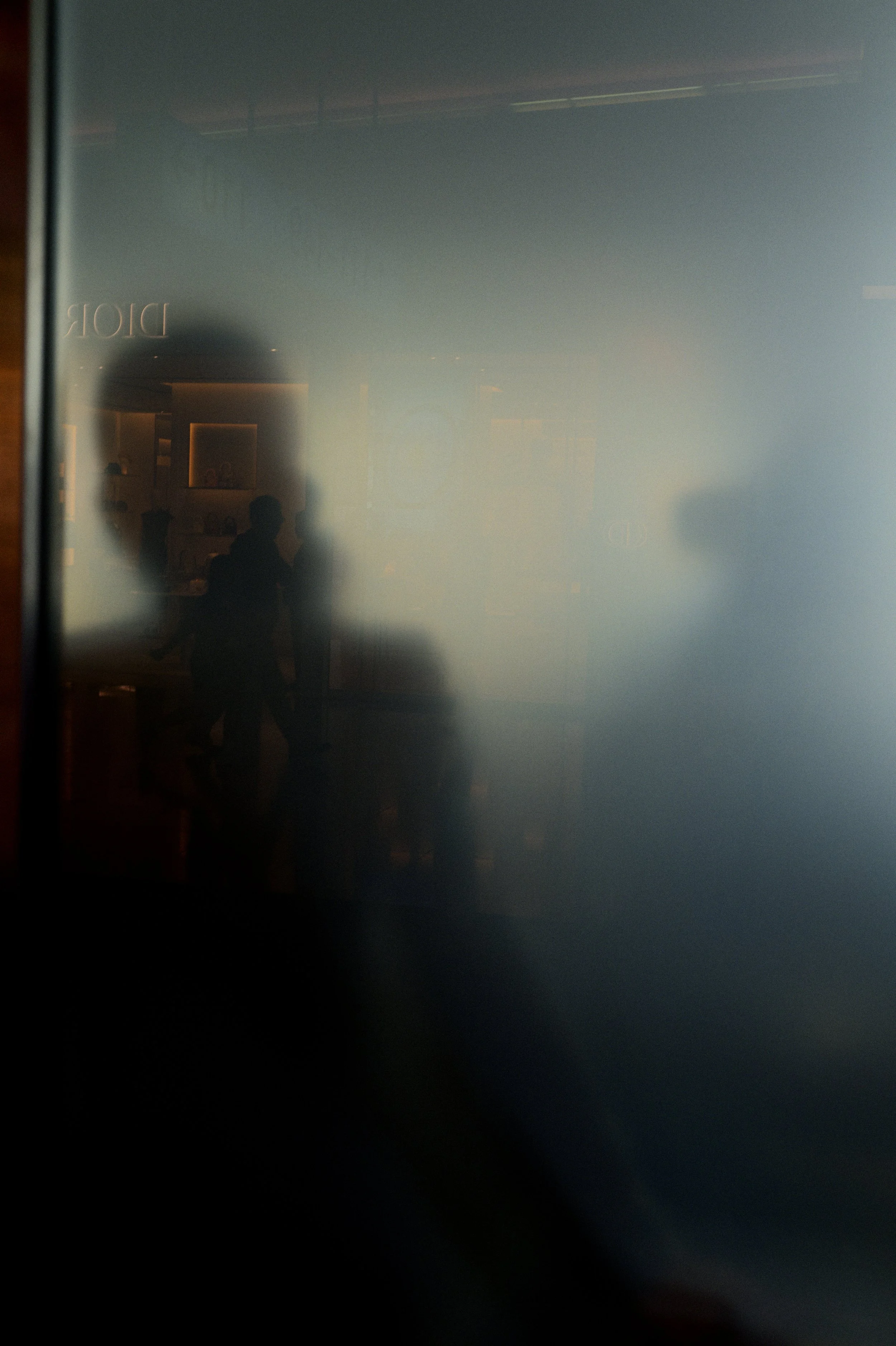 L1000869.jpg