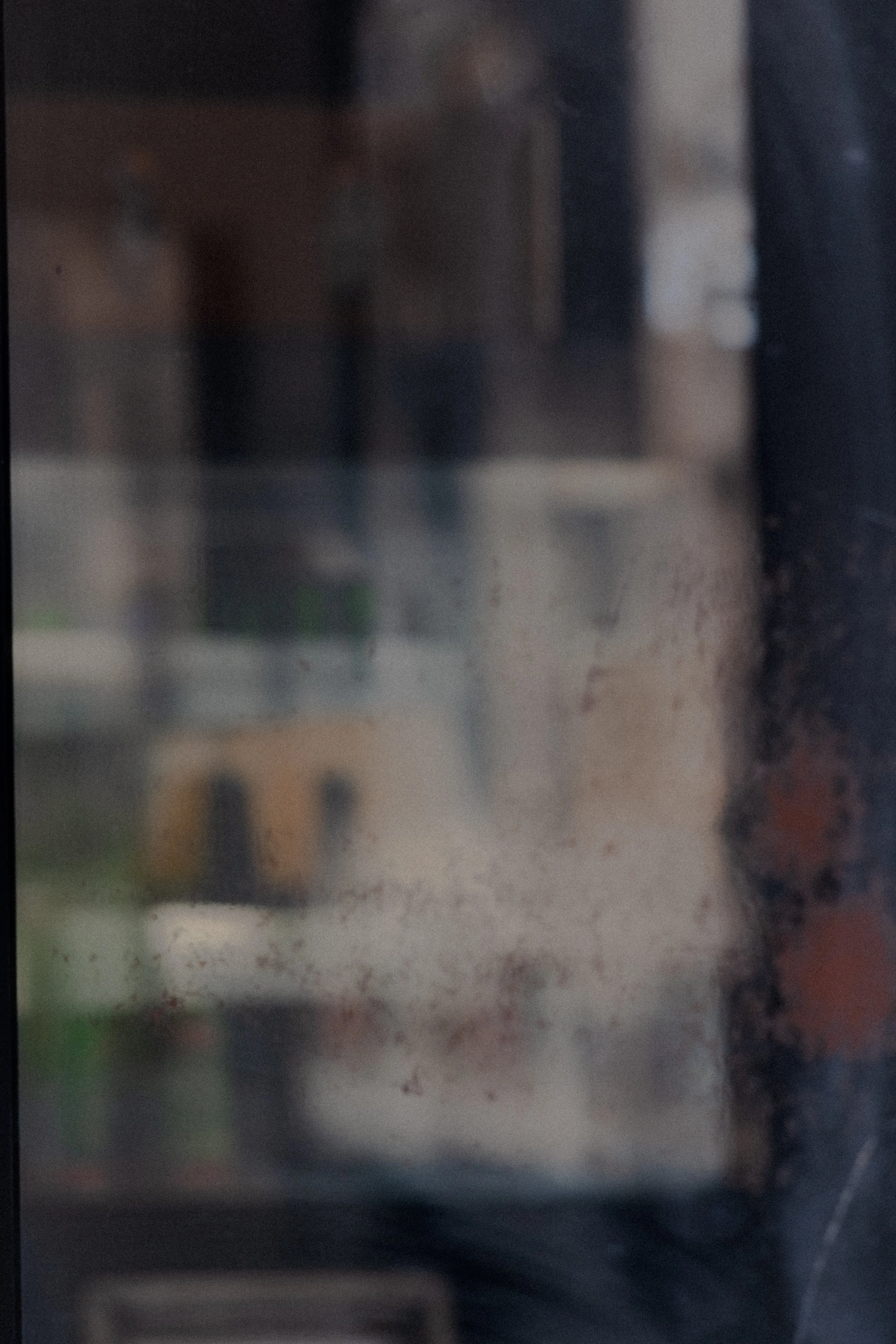 L1020507.jpg