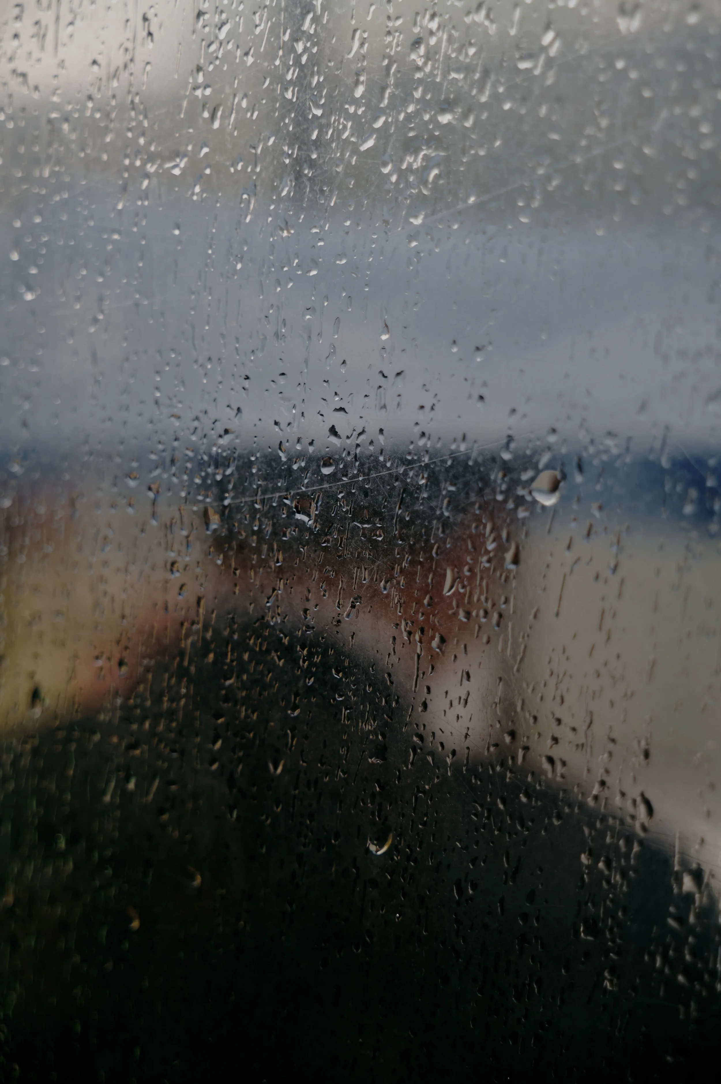 L1080138.jpg