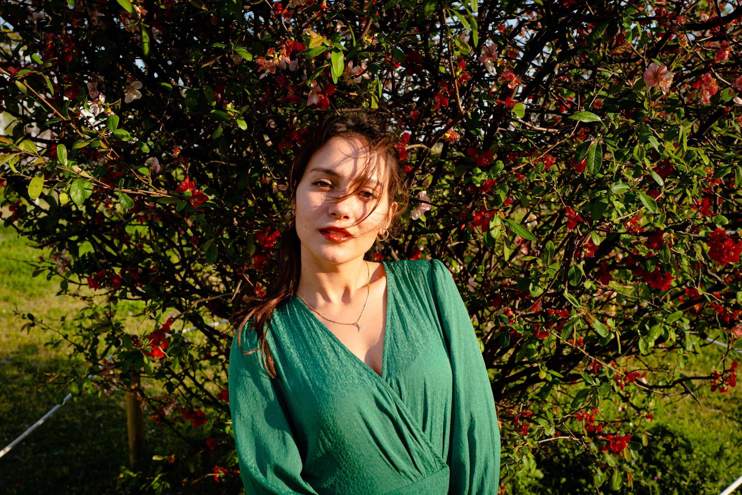 Alisa, 2019