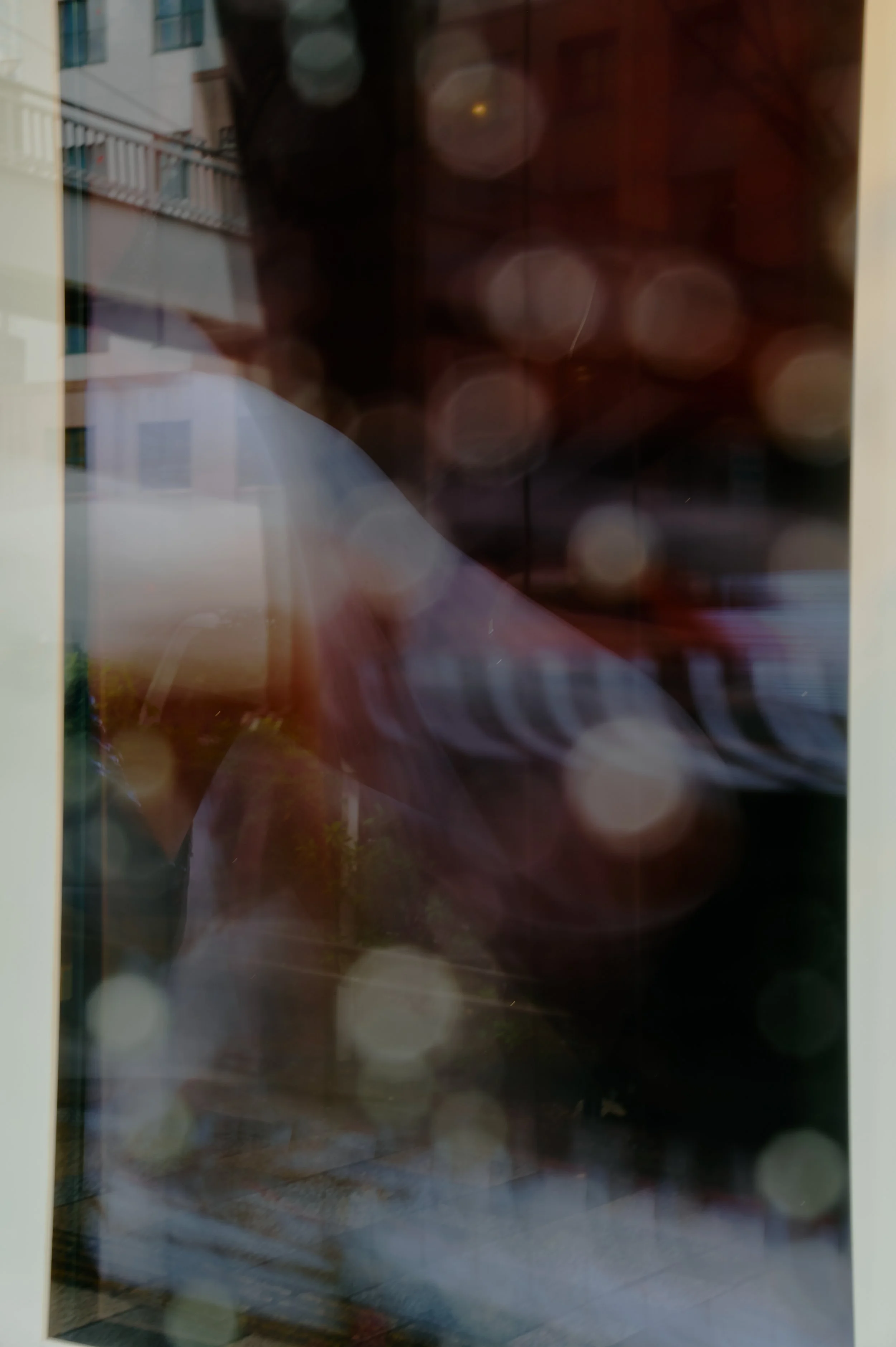 L1080184.jpg