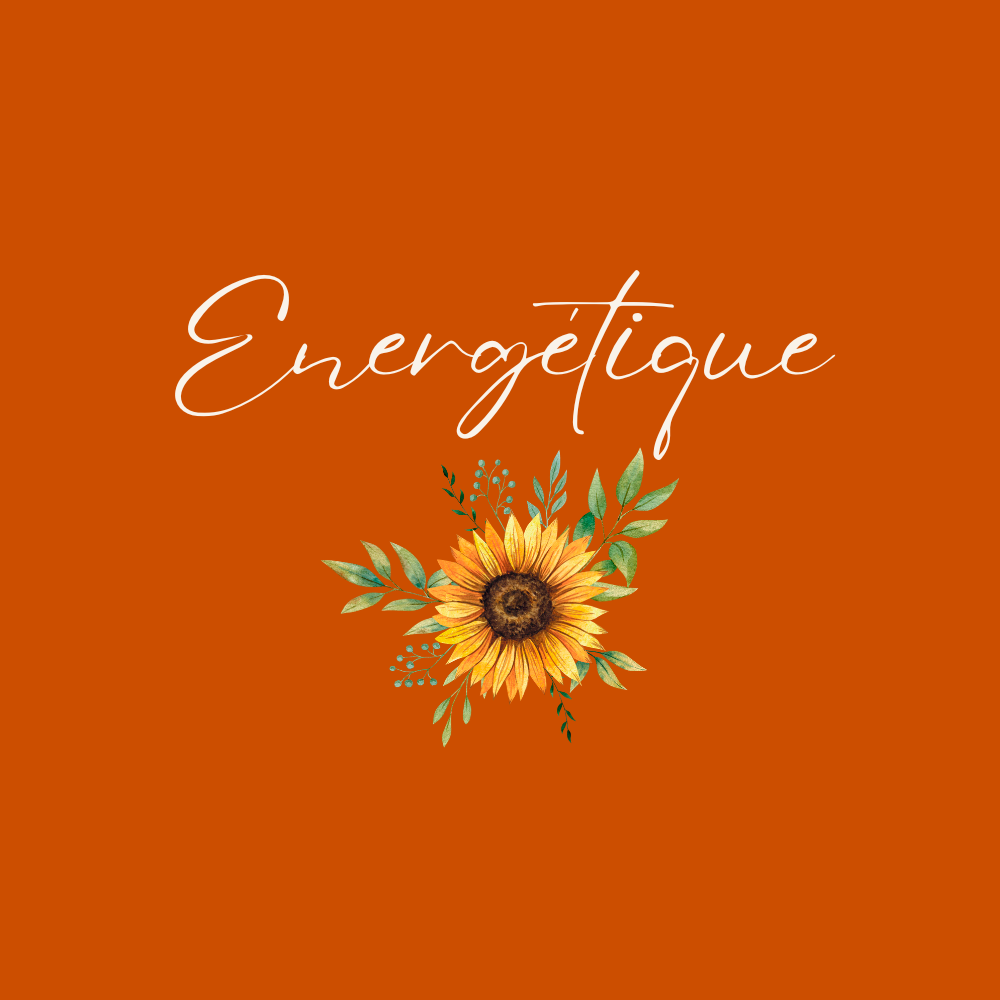 Fond orange avec le mot 'Énergétique' en écriture cursive blanche, accompagnée d'une illustration de tournesol avec des feuilles vertes.
