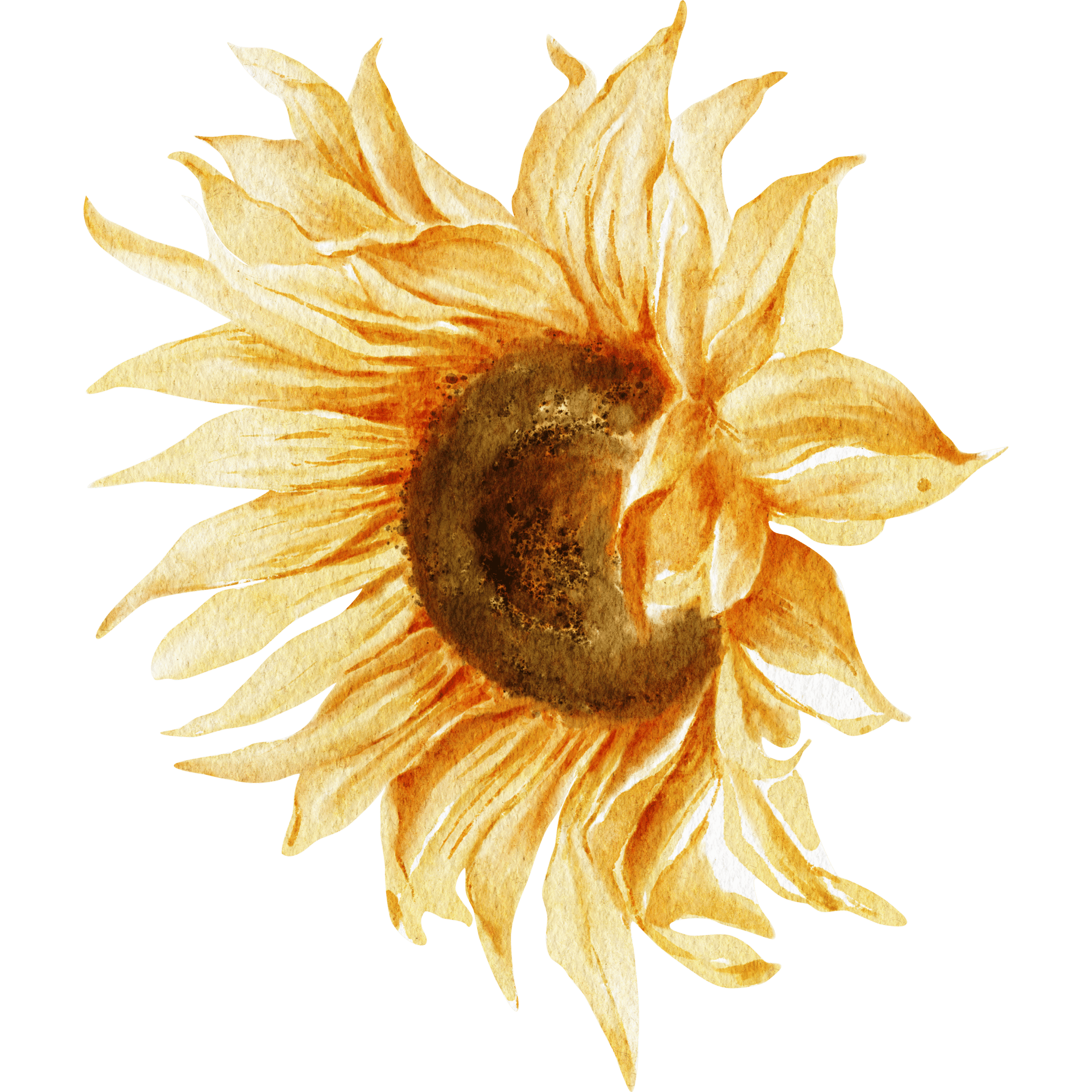 Une composition artistique représentant un tournesol avec des fleurs de couleur beige et une grosse graine brune au centre.