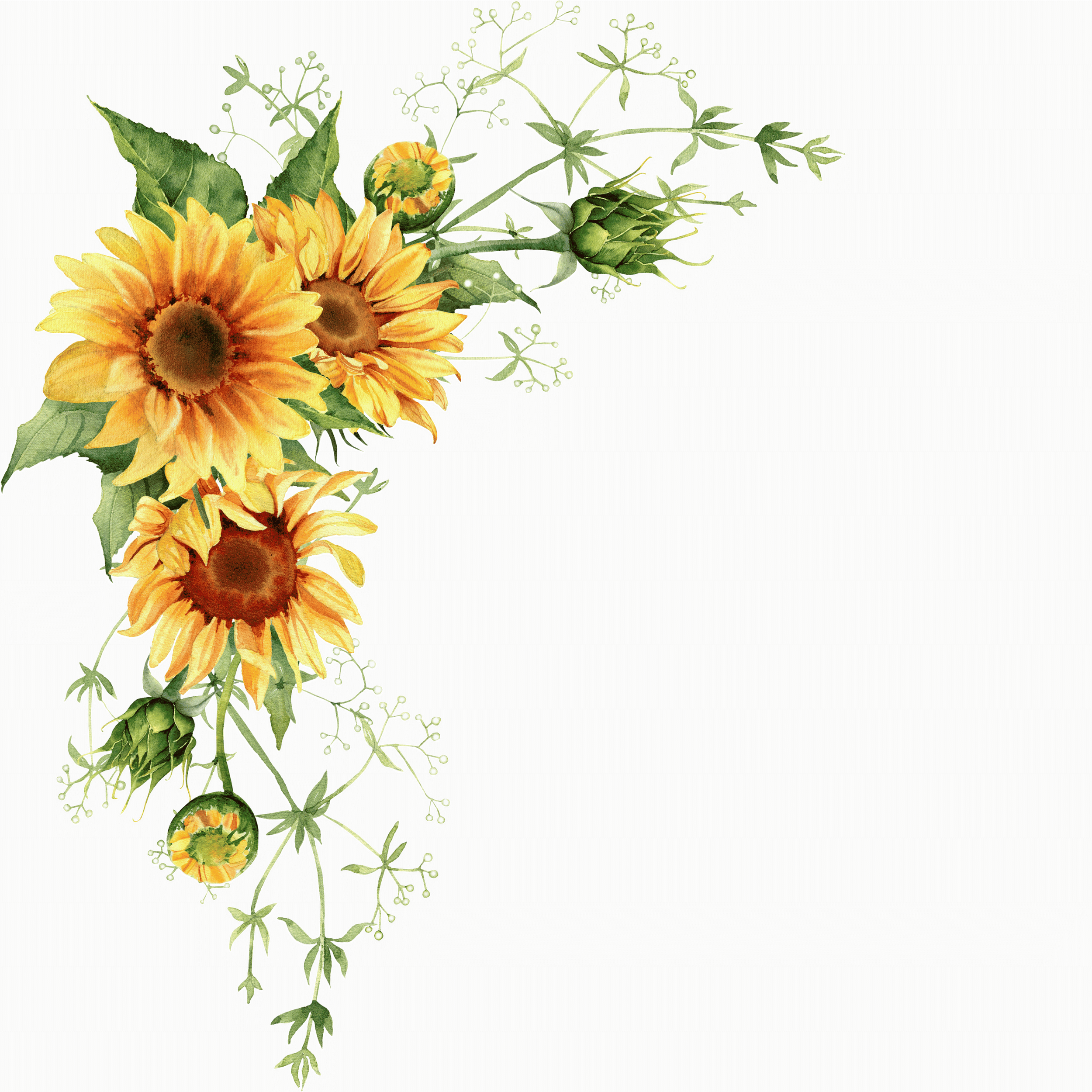 Composition florale avec tournesols, feuilles et petites fleurs blanches sur un fond vert