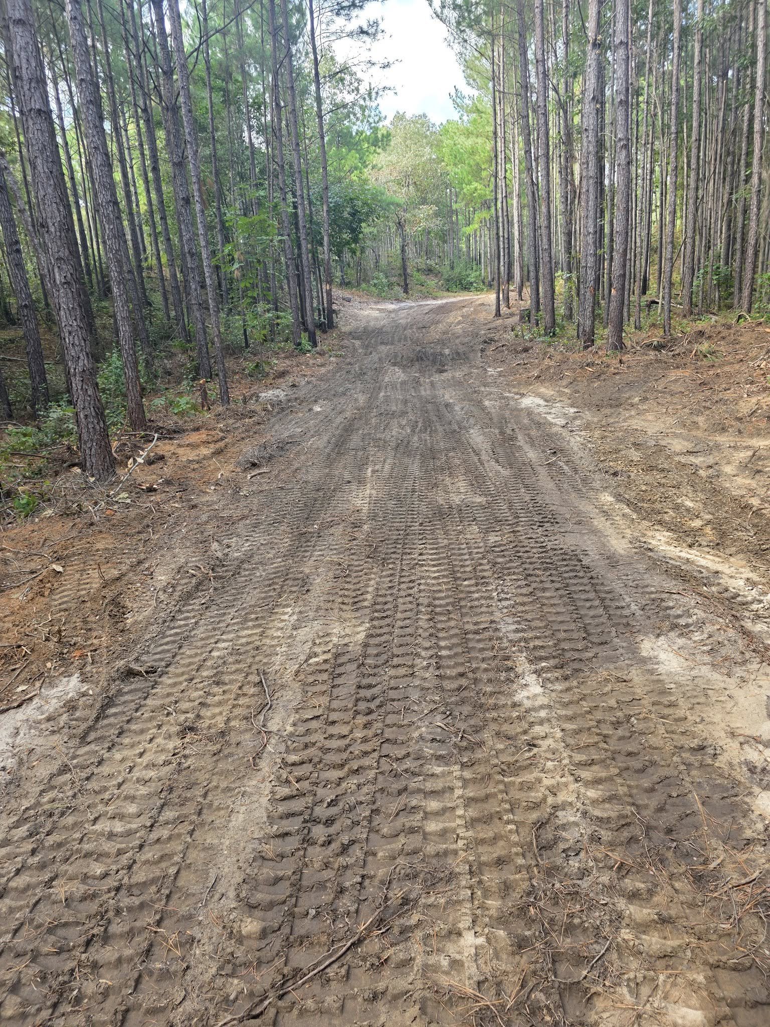 pushing roads 2.jpg