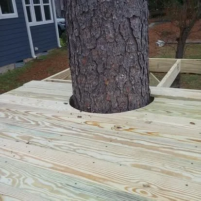 treehouse 2.jpg
