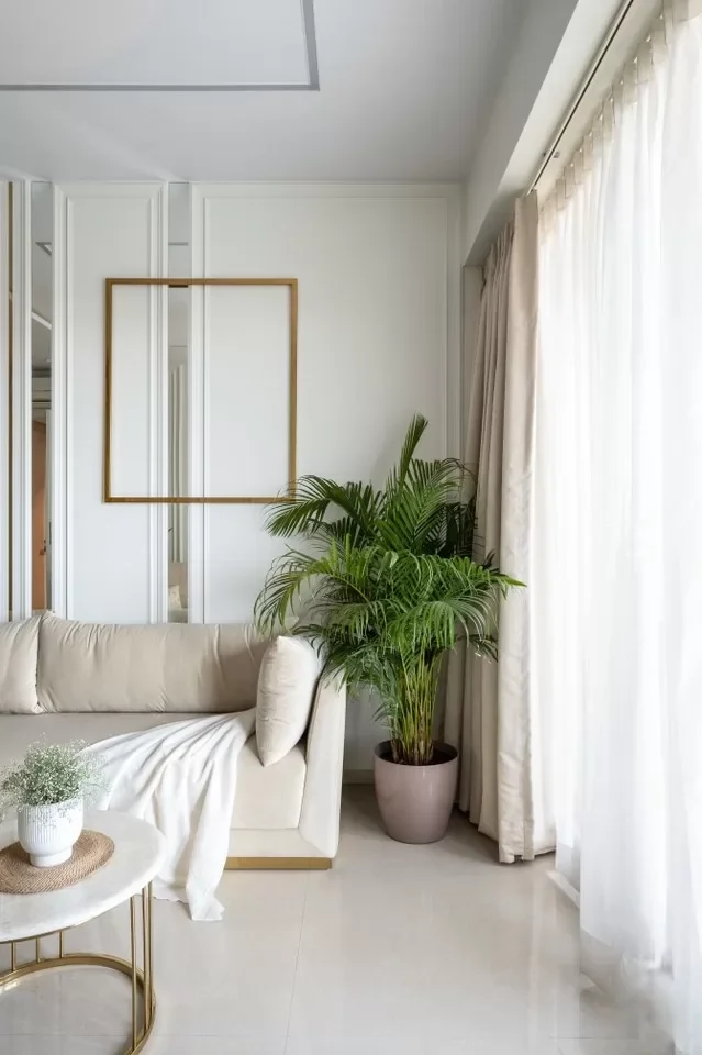 A cozy living room with a white sofa covered with a white throw blanket, a small round coffee table with a plant, a large green potted plant near a window with beige curtains, and minimal wall decor.