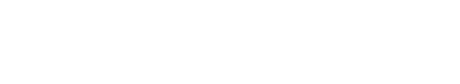 Seth Gray Brand Consulting