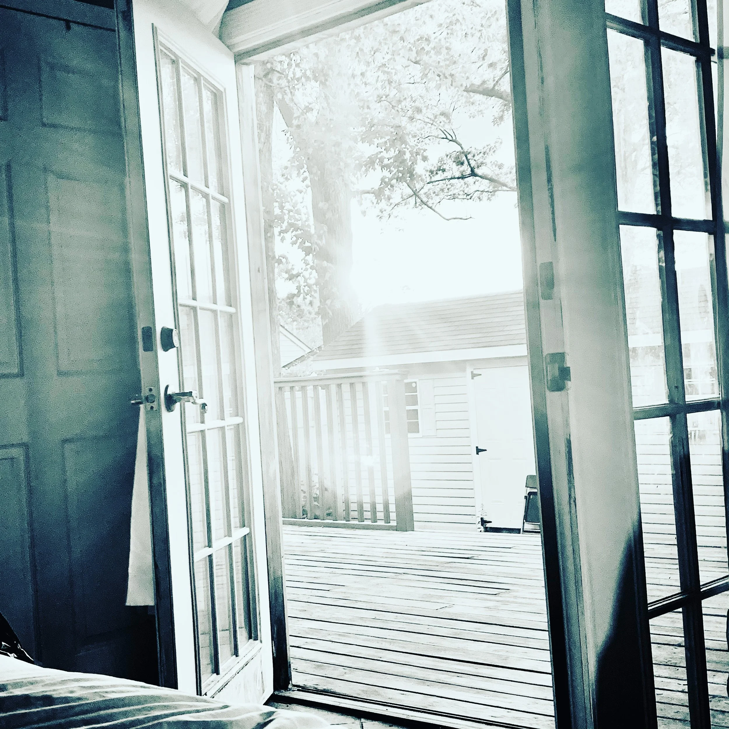 FF088AA7-41C6-4ED9-91F7-A213737560A3 2.jpg