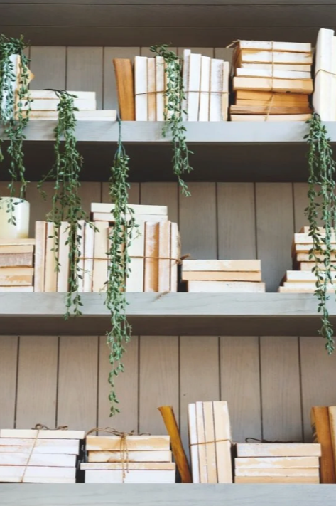 Wooden shelves displaying stacks of vintage books and trailing green plants