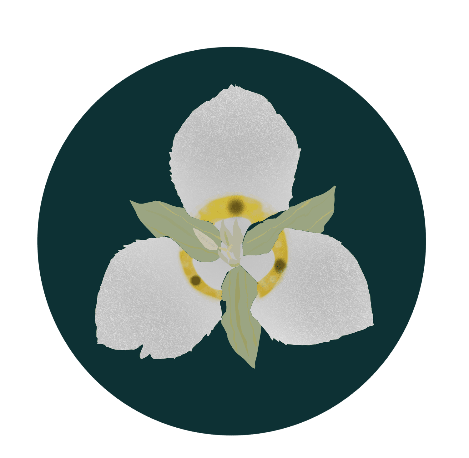 Calos Biology Environmental Consulting