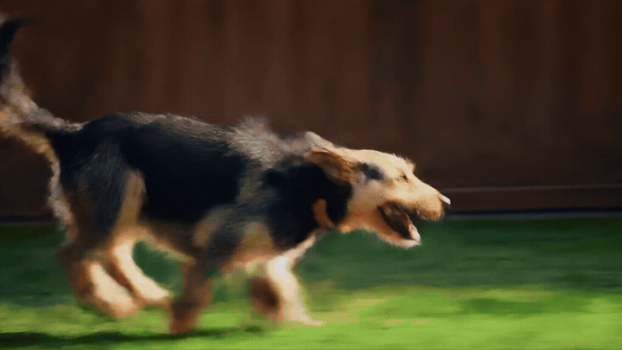 Lawn Doctor  |  Lawns are for Living.