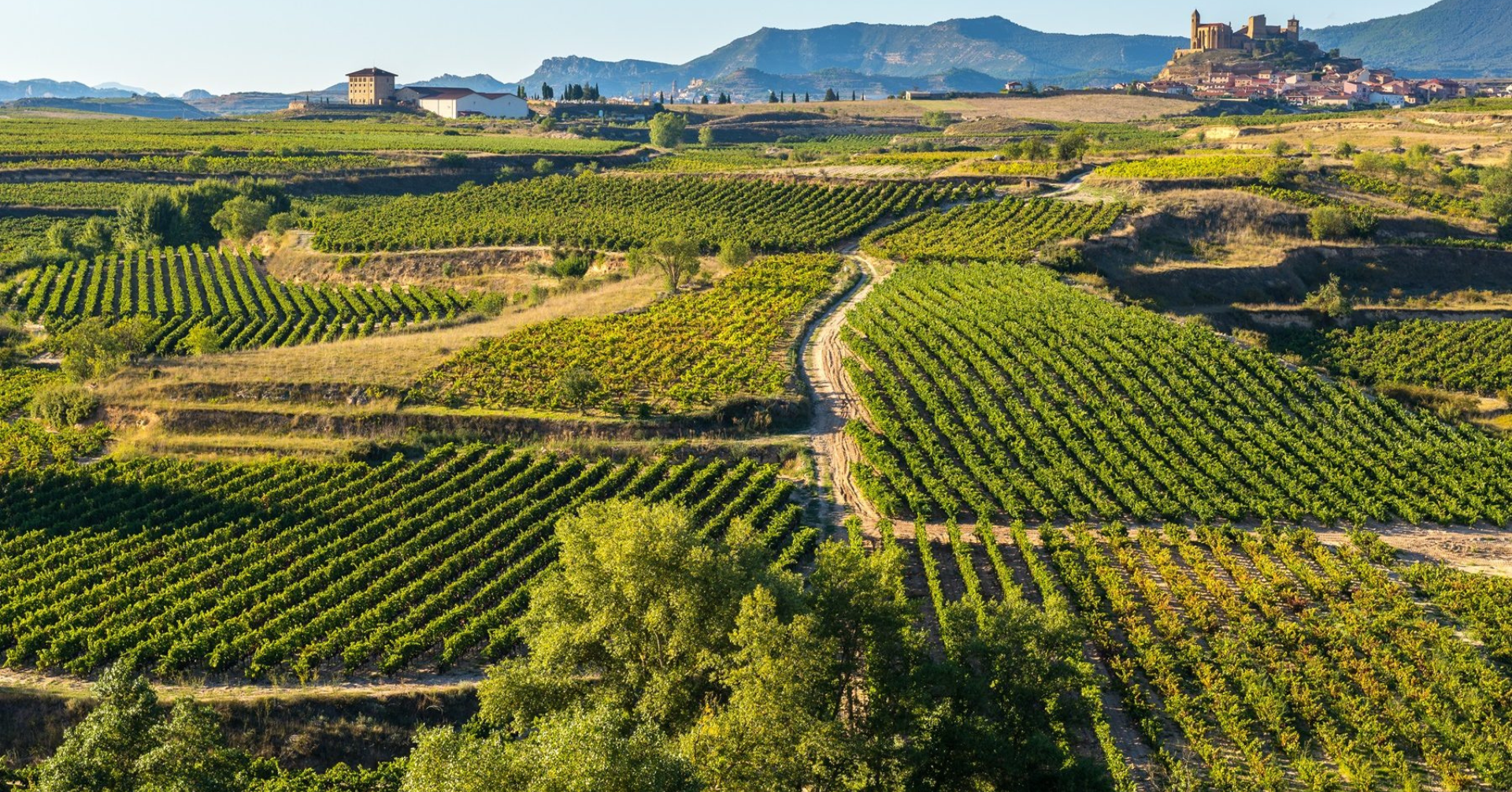 Beyond Rioja: The Sister Estates of La Rioja Alta