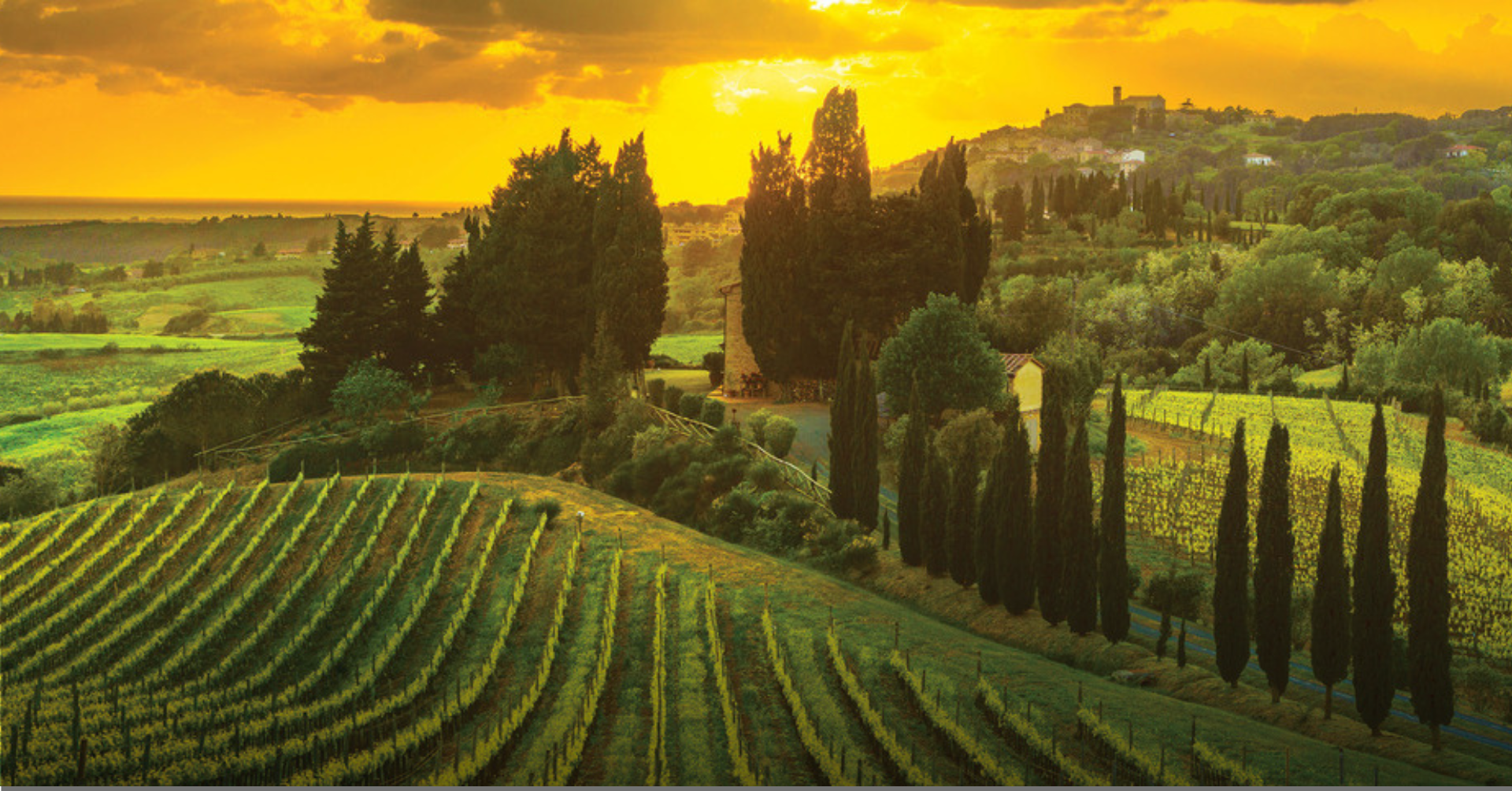 Tuscan Wine Dinner