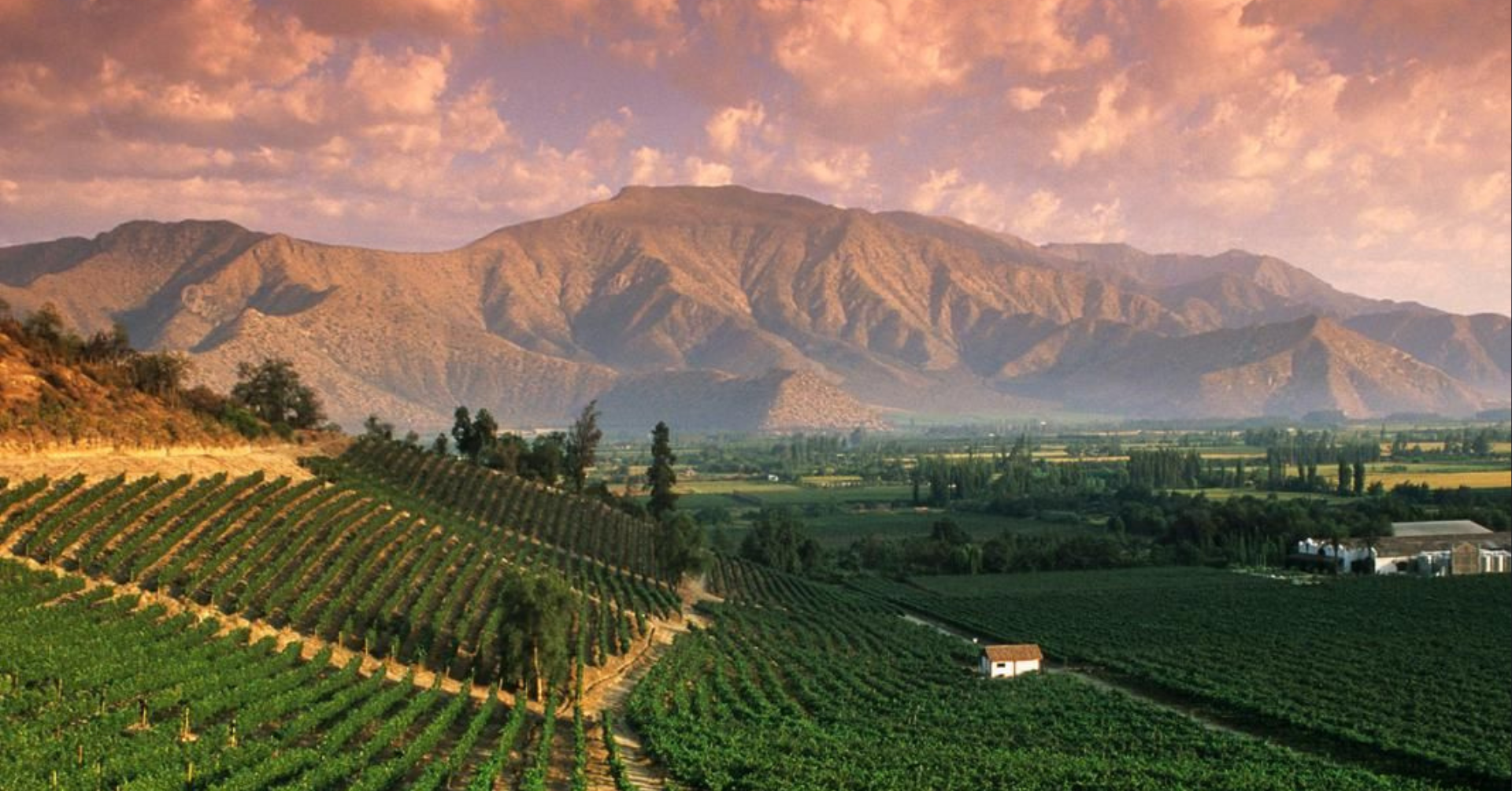 A Taste of Argentina: Mendel Wine Dinner