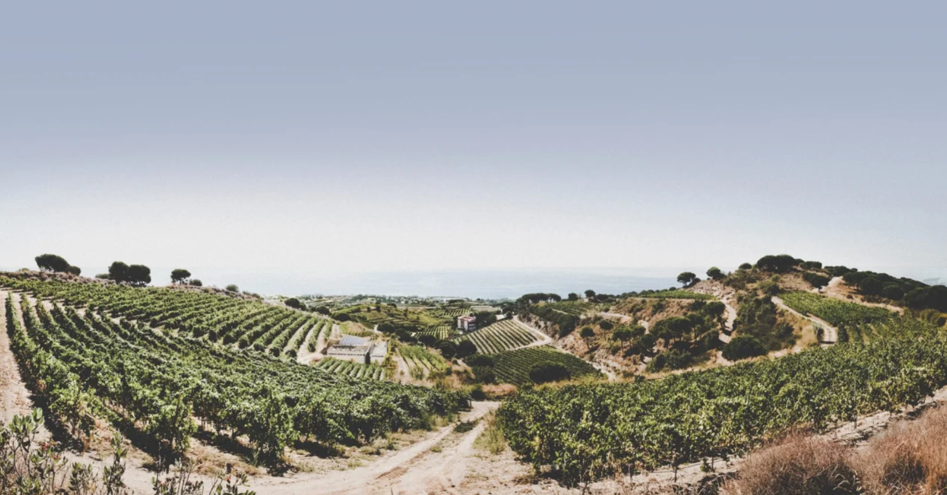 A Taste of Alta Alella