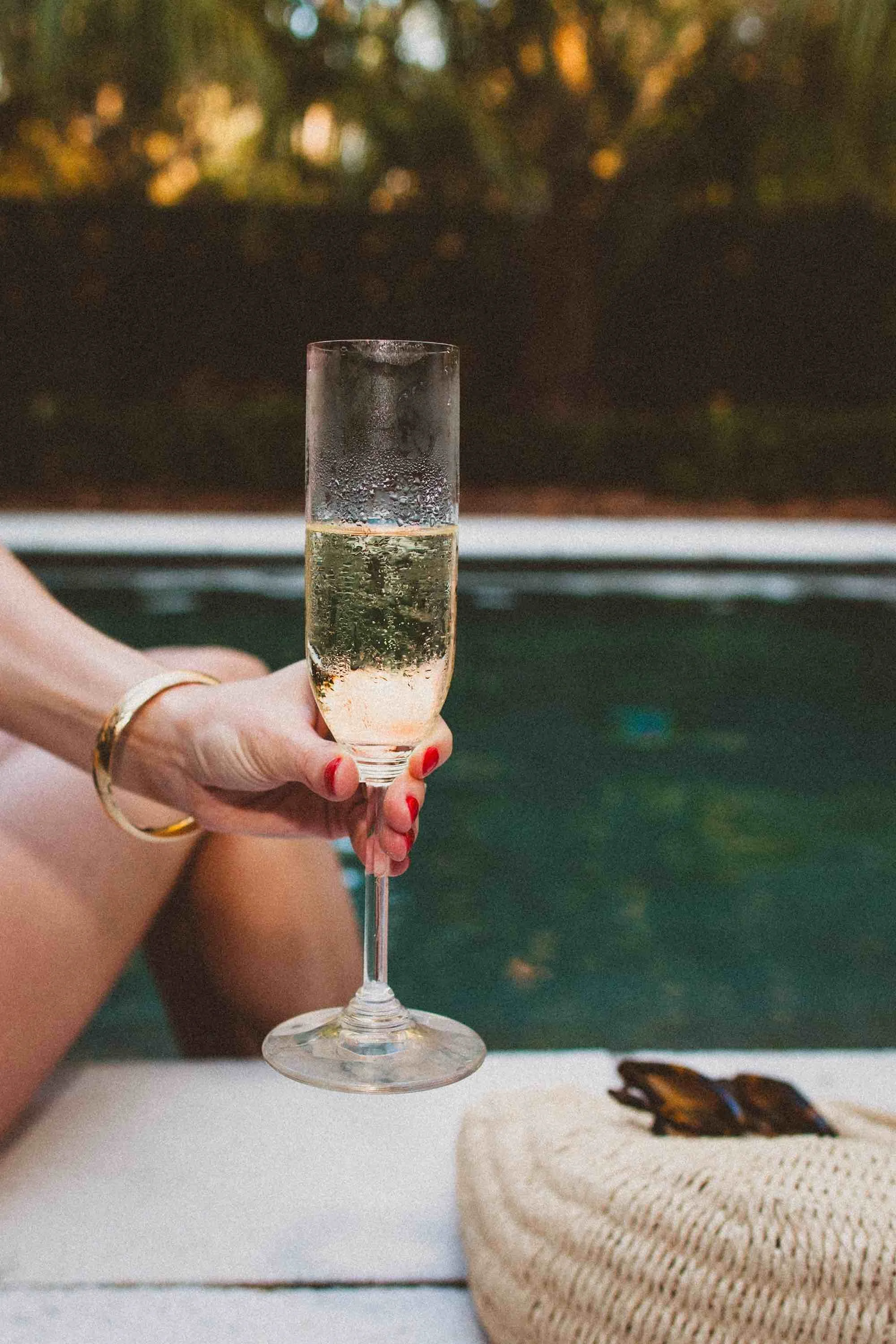 A woman holding a glass of champagne with a scenic outdoor background
