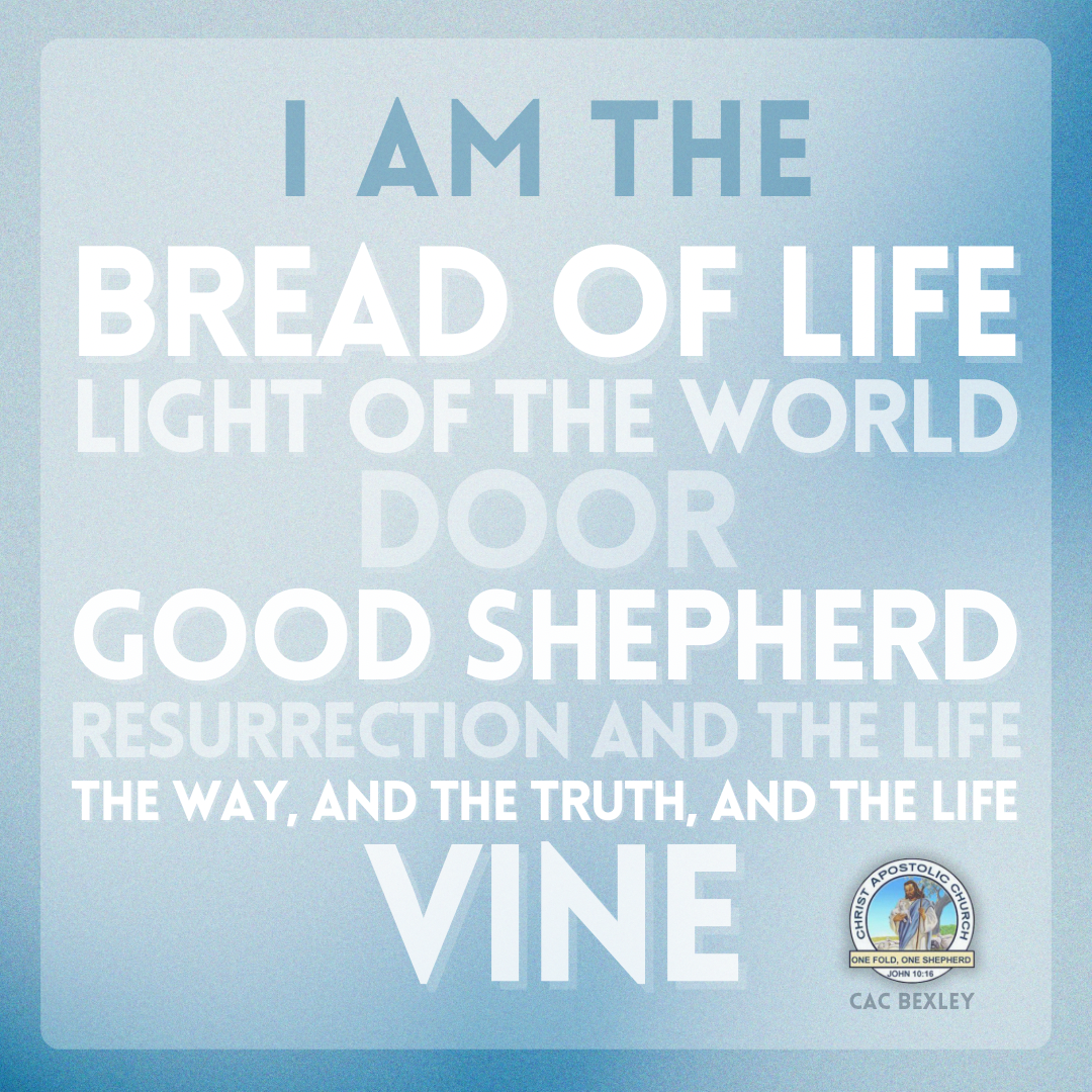 Bible verse from John 10:10 about Jesus.