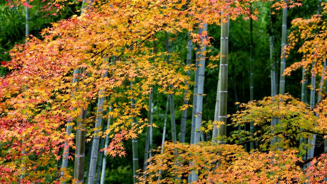 Consultation