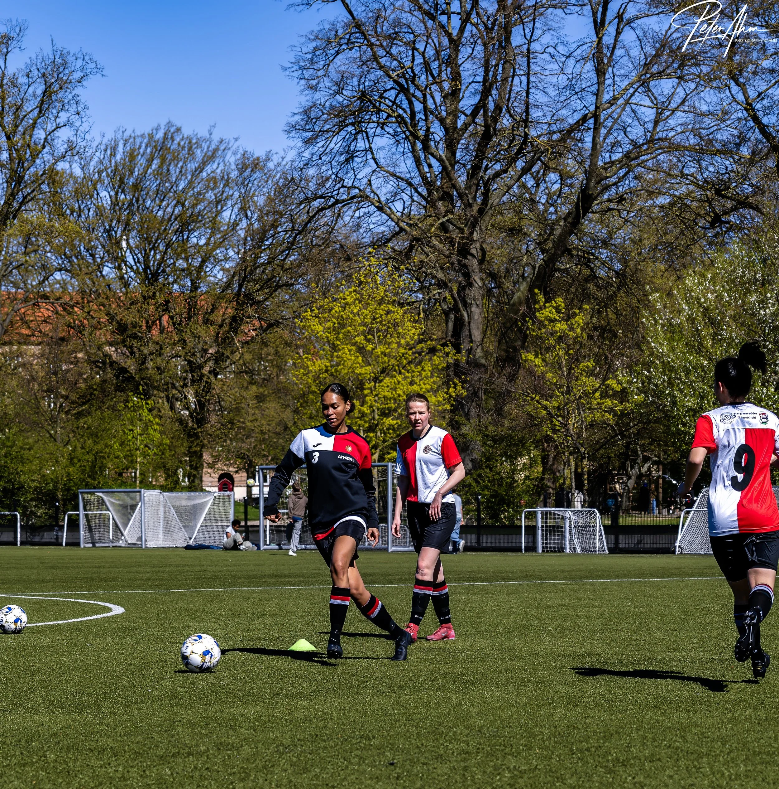 skjold-olstykke 260426 (94).jpg