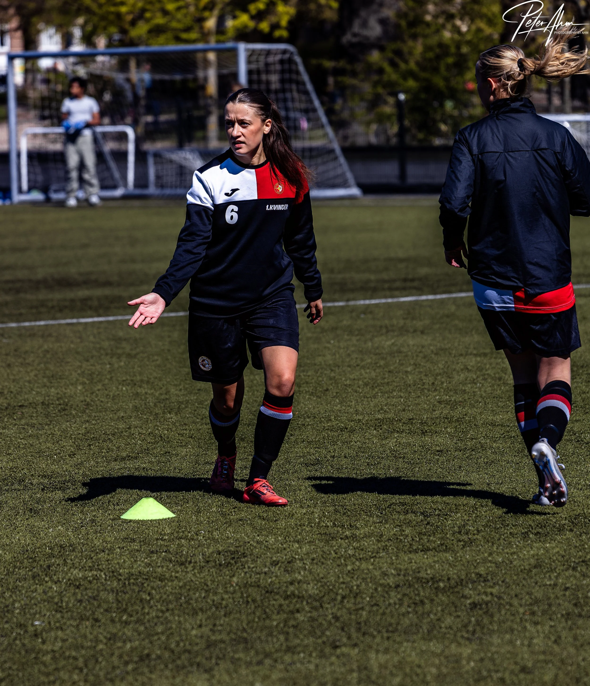 skjold-olstykke 260426 (91).jpg