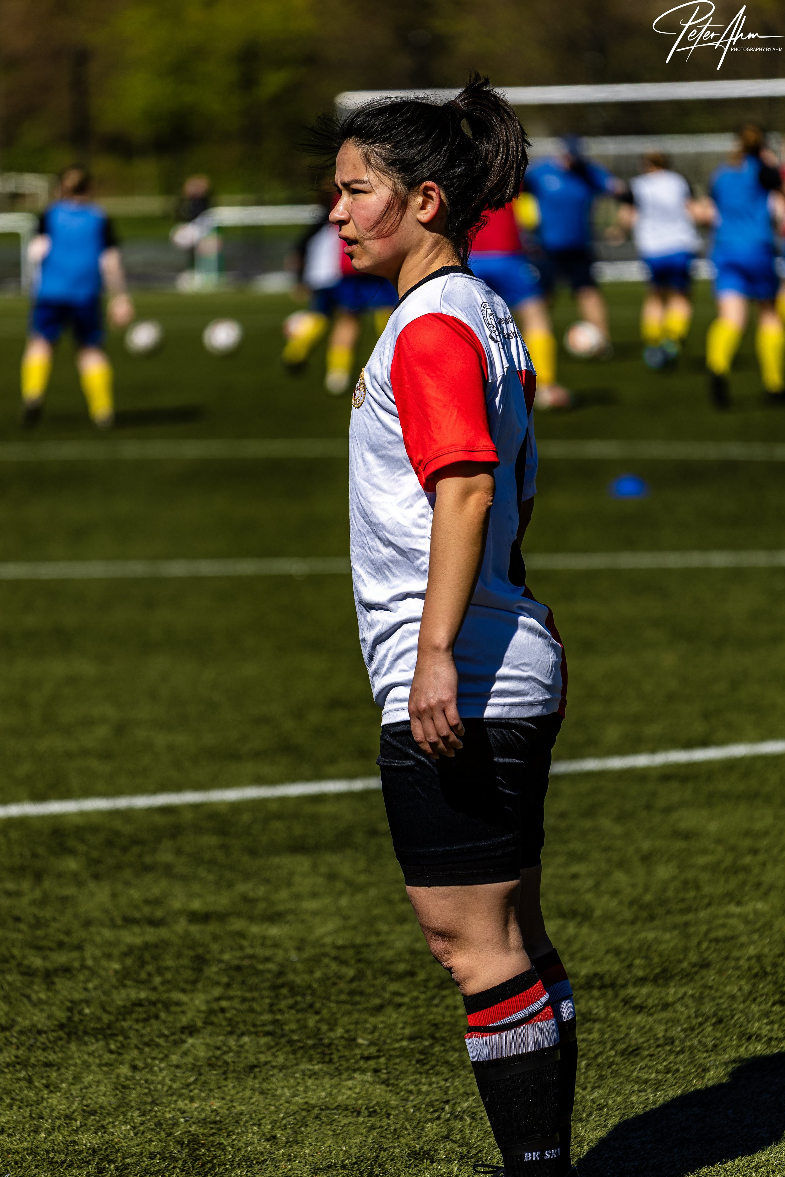 skjold-olstykke 260426 (104).jpg