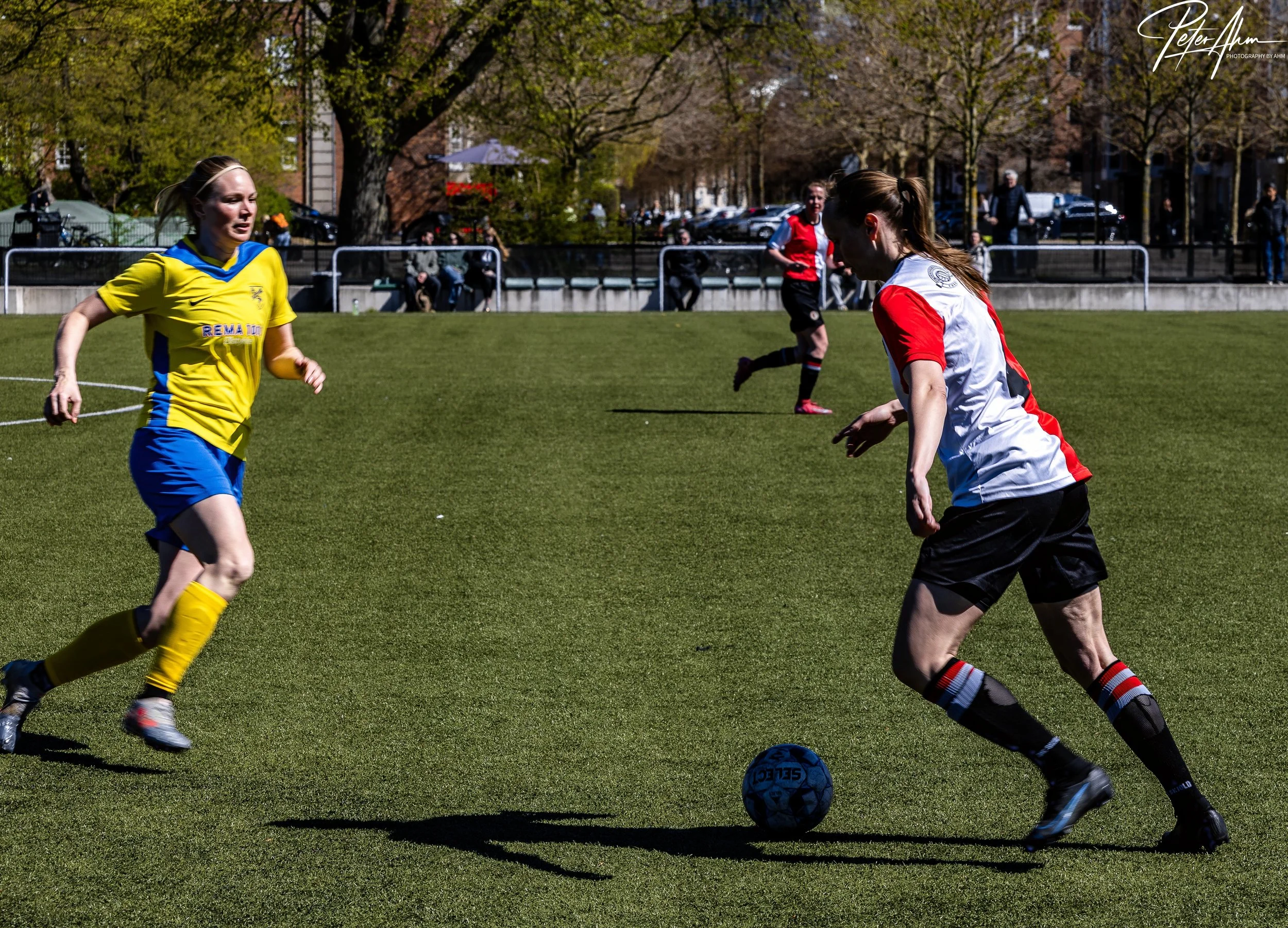 skjold-olstykke 260426 (9).jpg