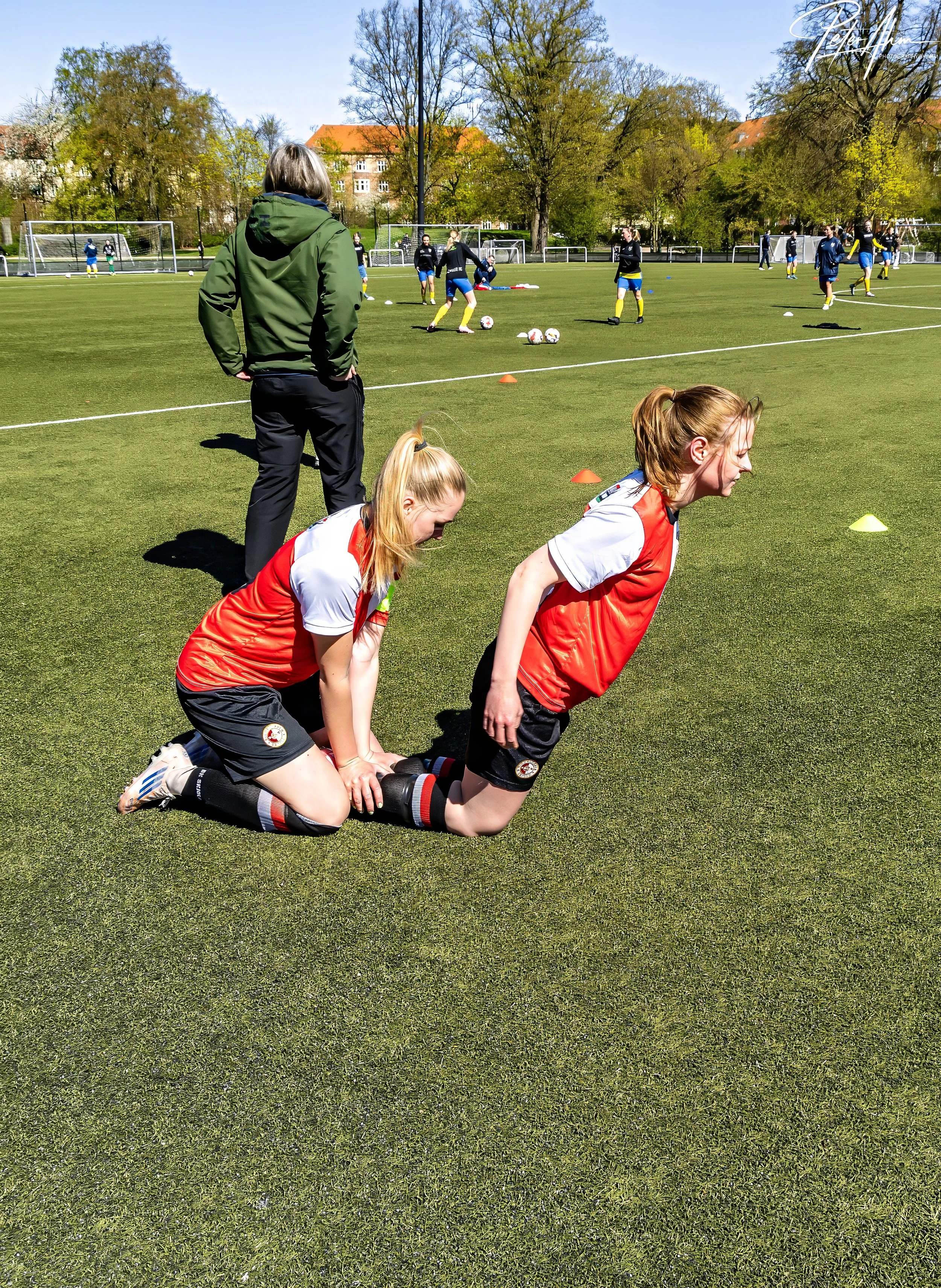 skjold-olstykke 260426 (20).jpg
