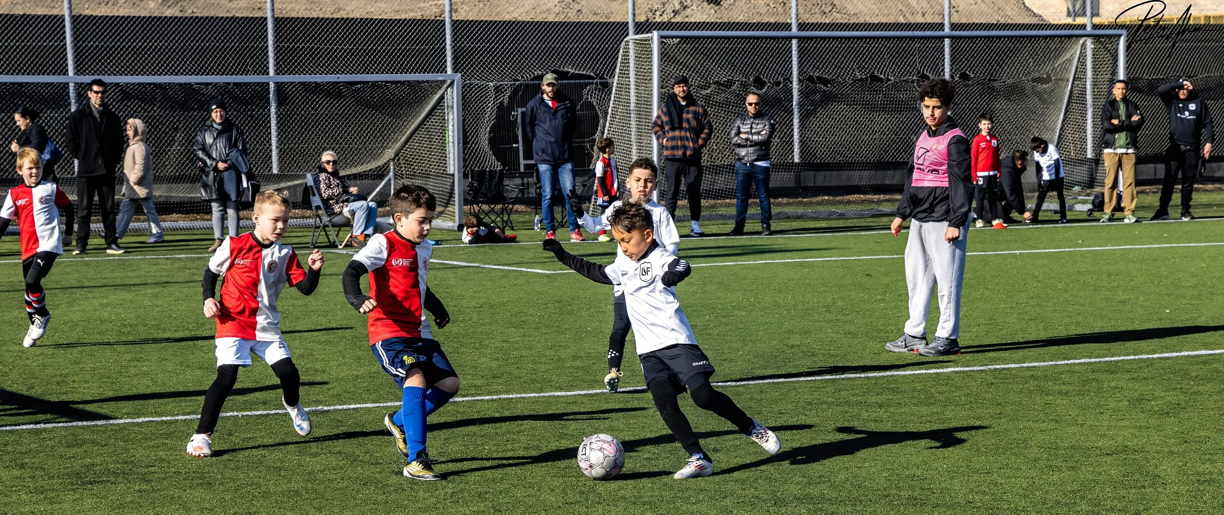 The Power of Volunteering