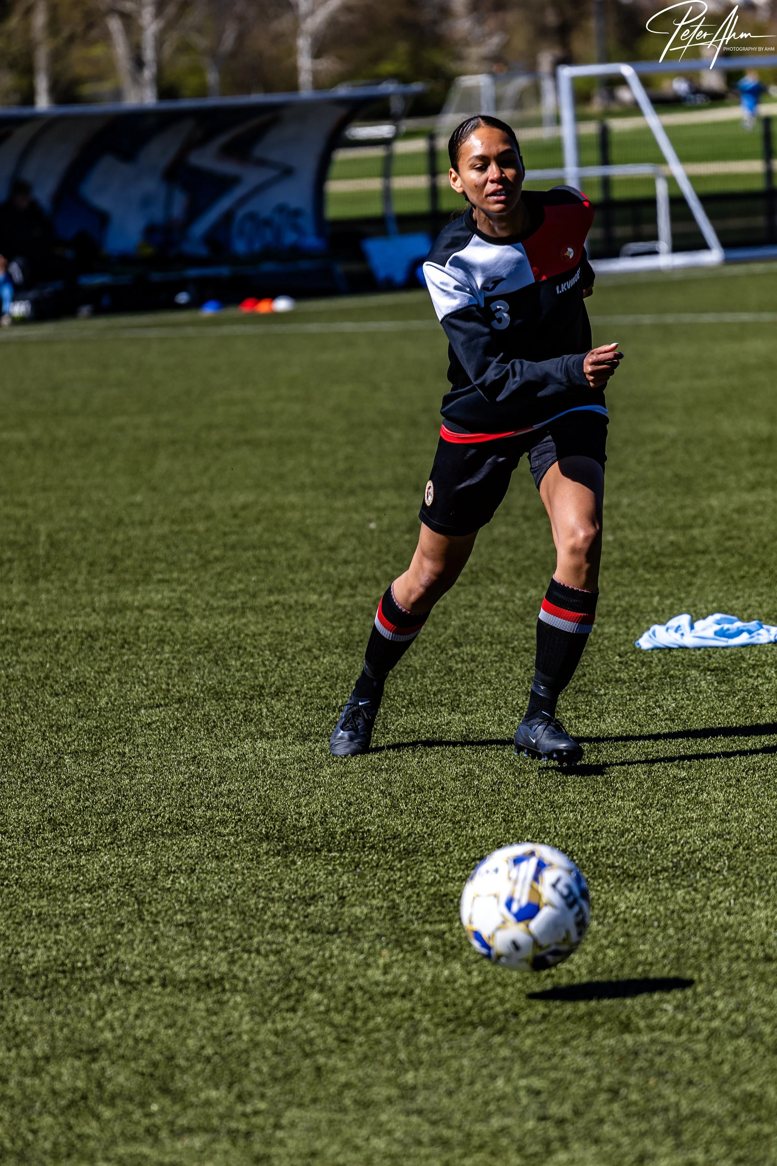 skjold-olstykke 260426 (101).jpg