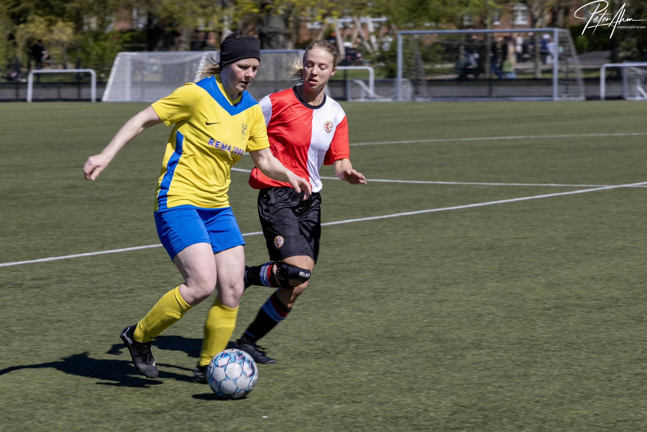 skjold-olstykke 260426 (7).jpg