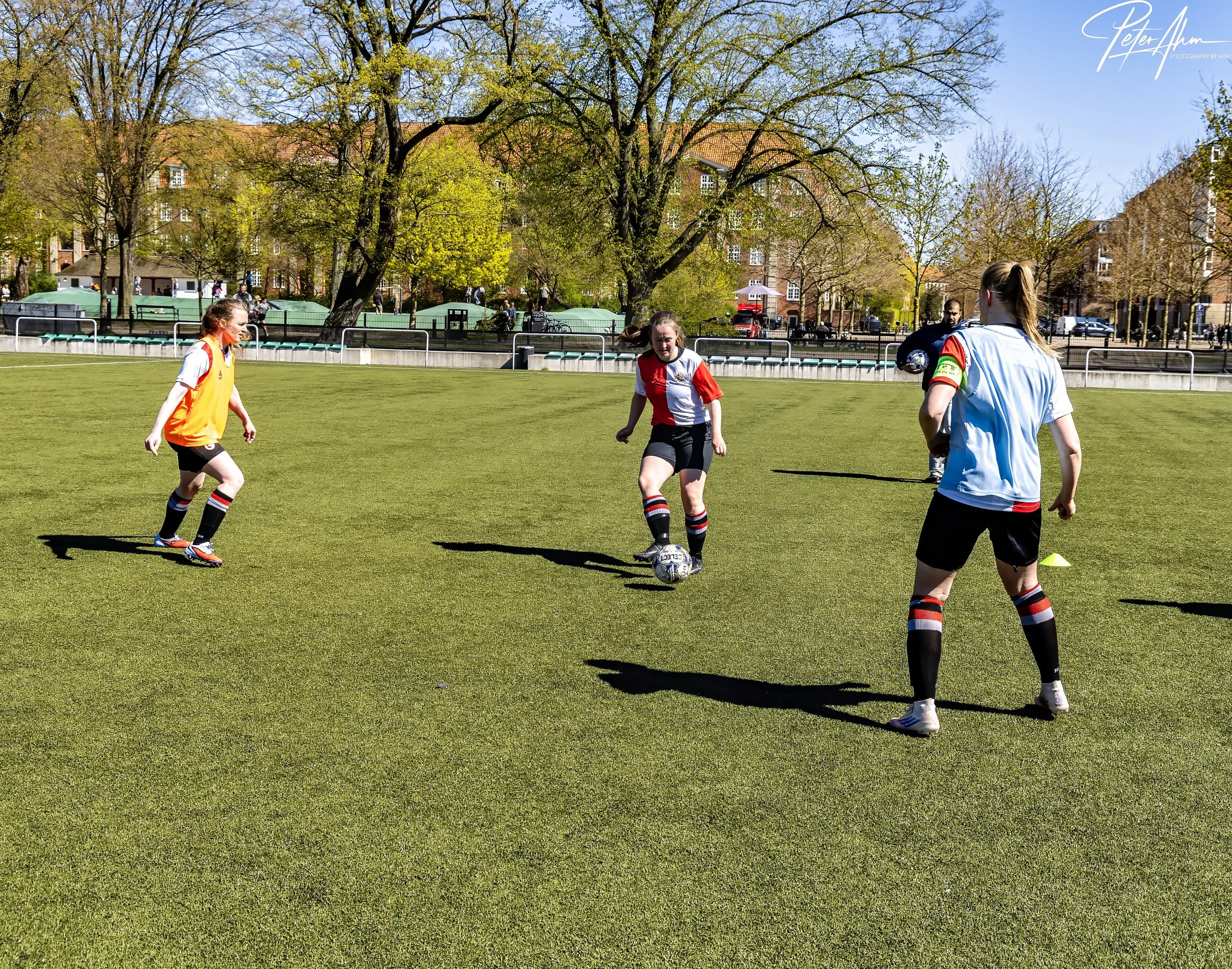 skjold-olstykke 260426 (33).jpg