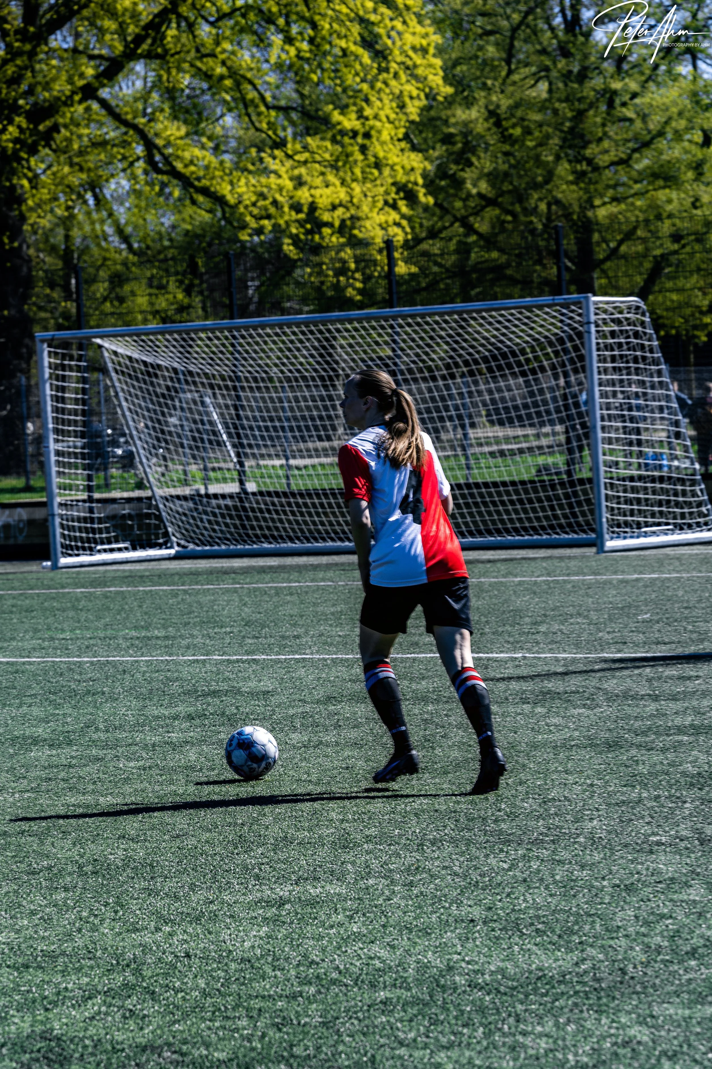 skjold-olstykke 260426 (5).jpg