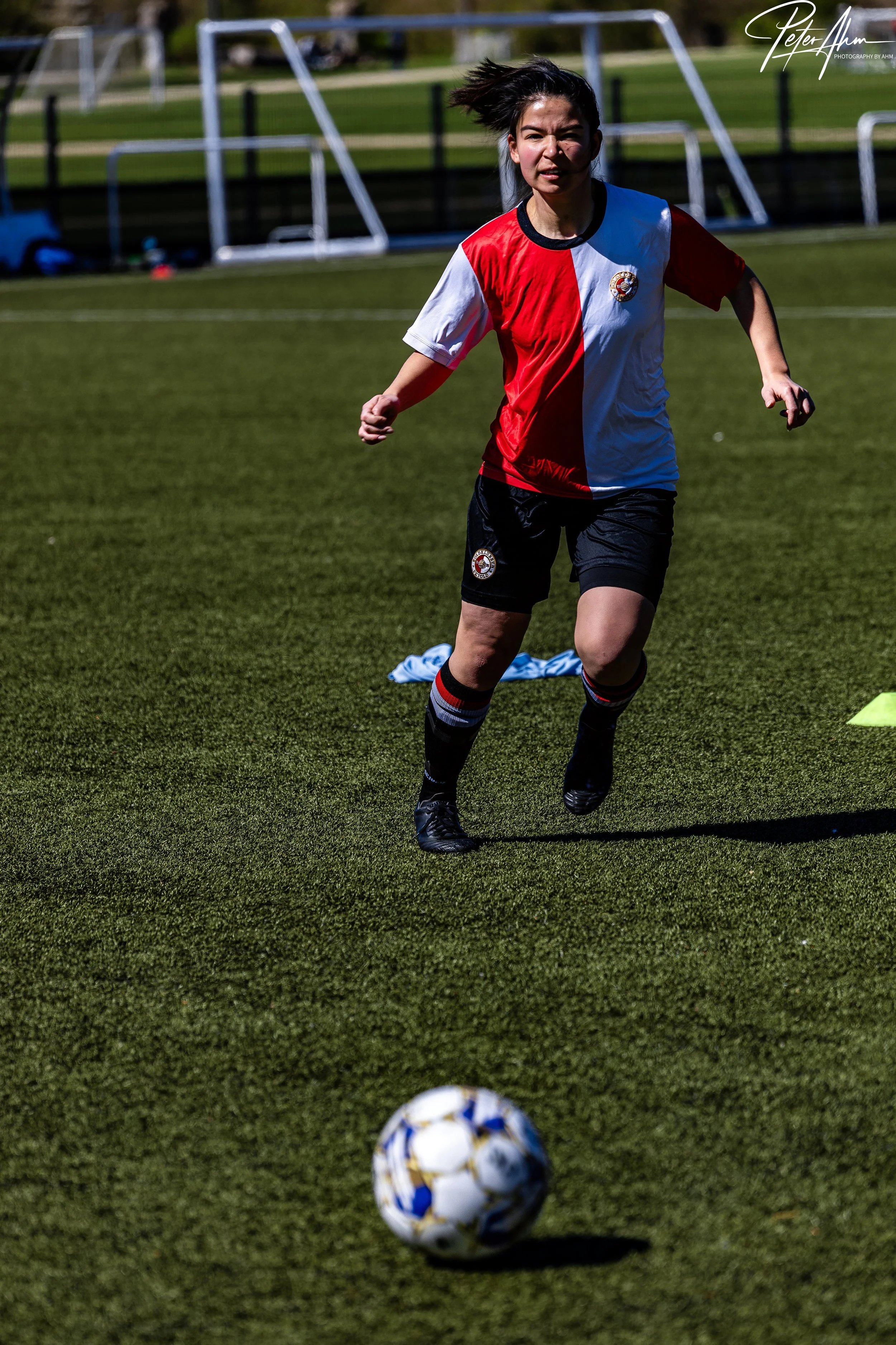 skjold-olstykke 260426 (99).jpg