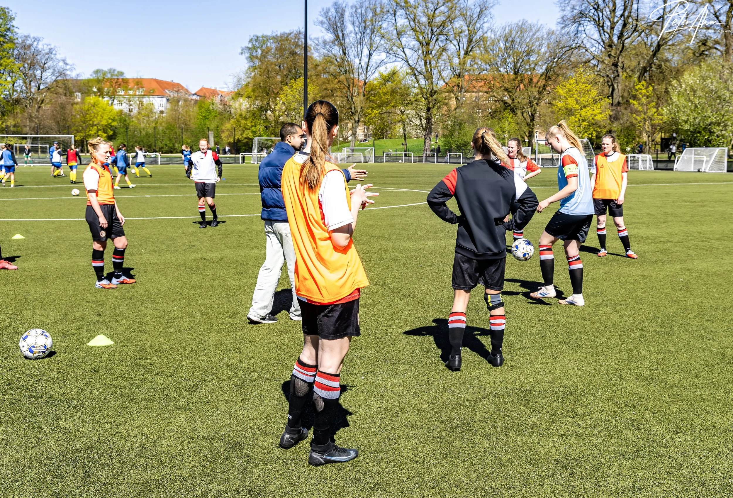 skjold-olstykke 260426 (26).jpg