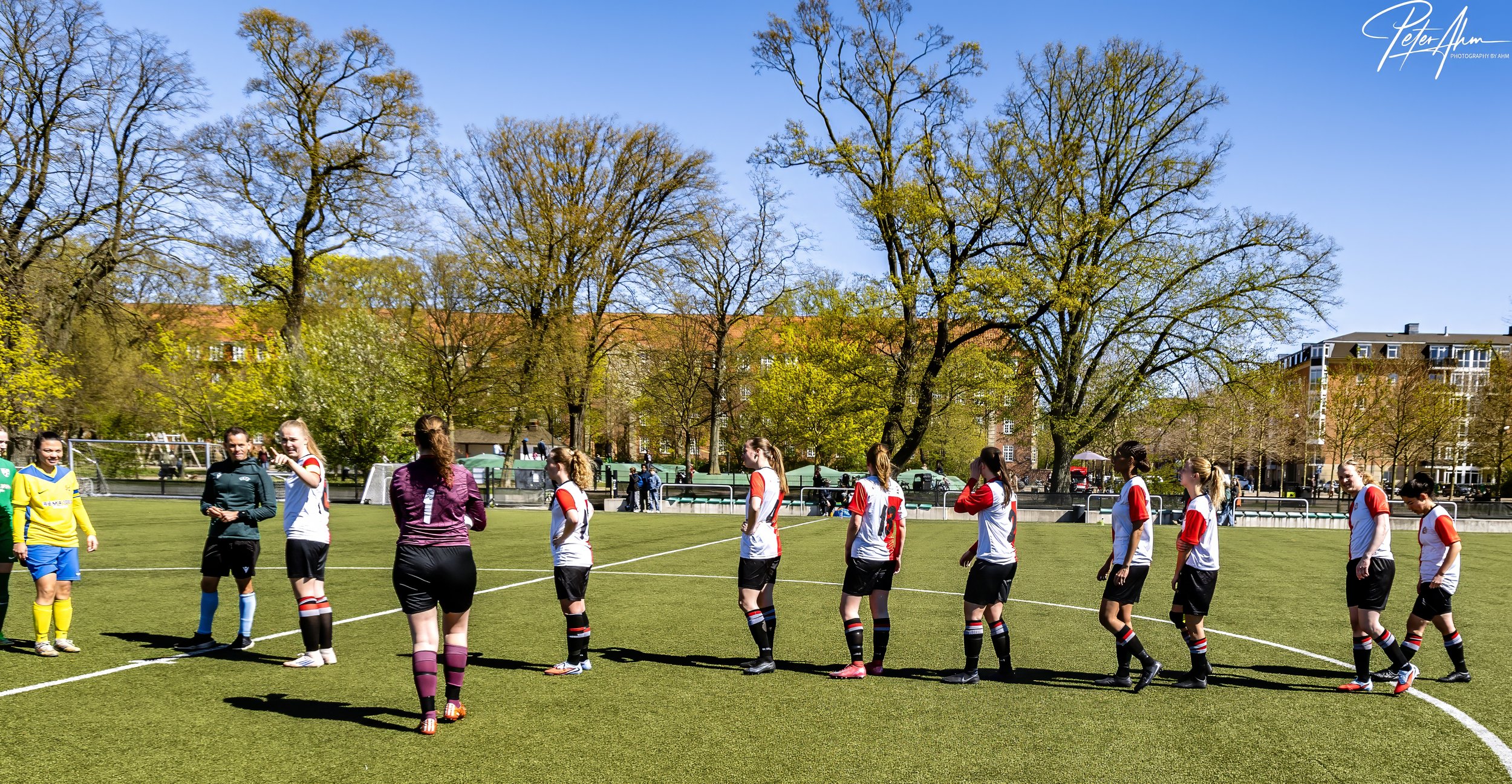 skjold-olstykke 260426 (70).jpg