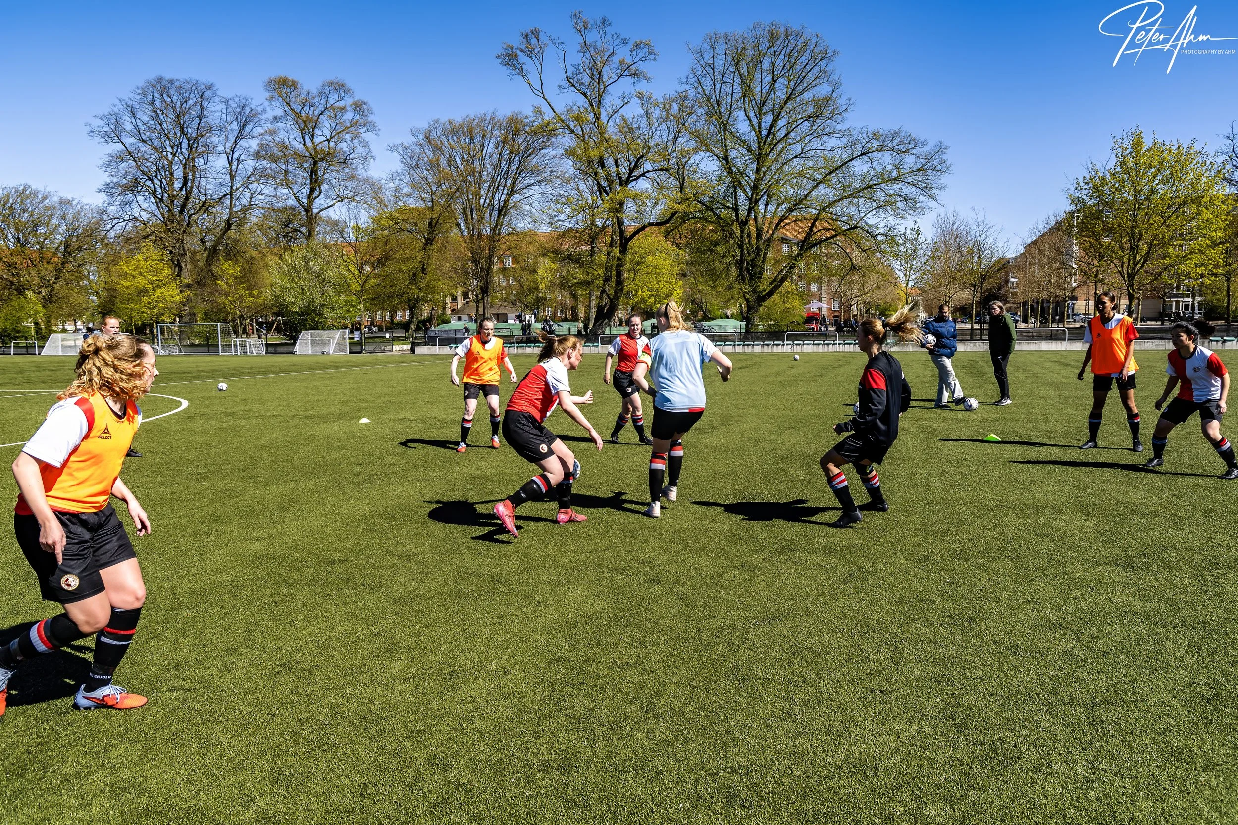 skjold-olstykke 260426 (37).jpg