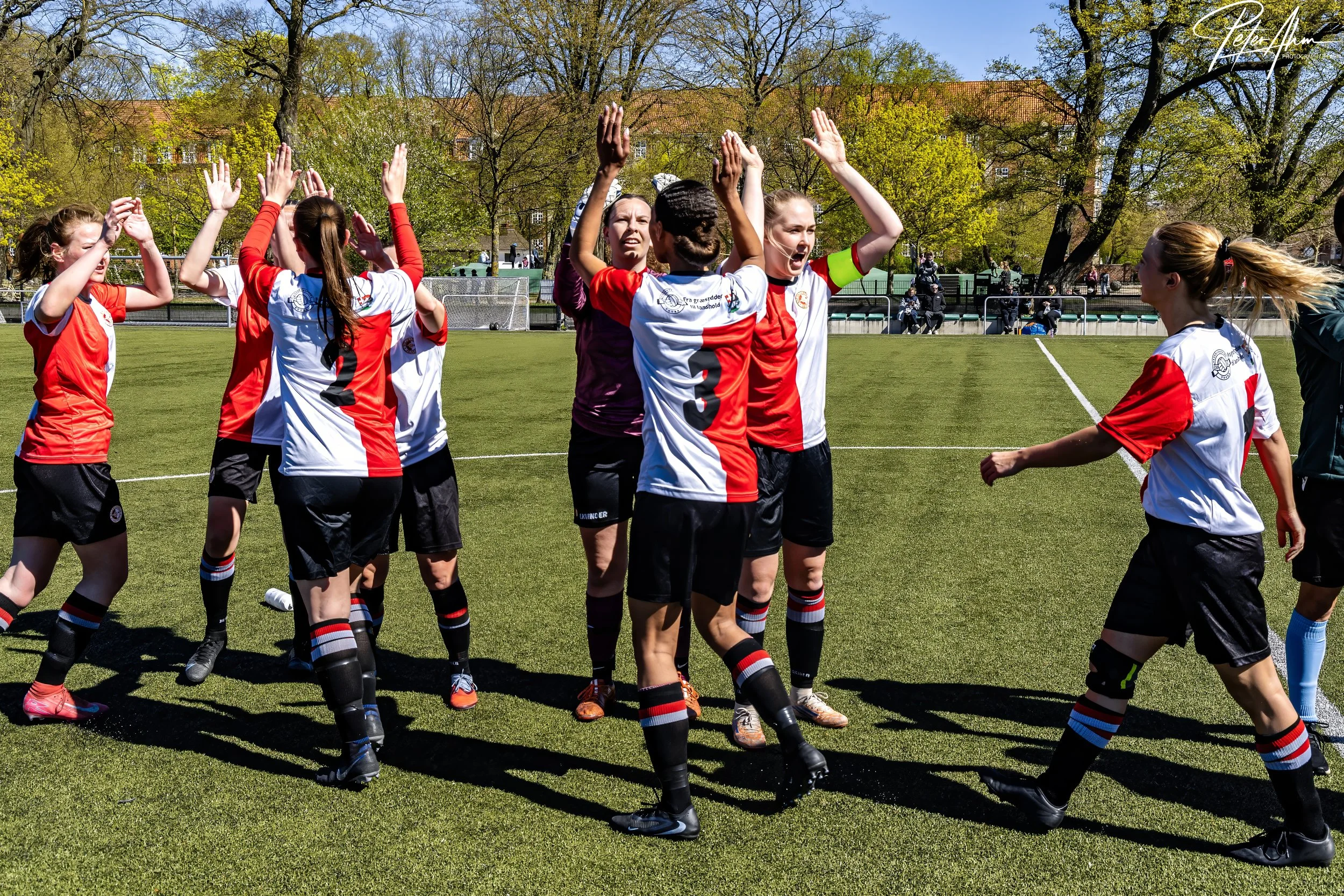 skjold-olstykke 260426 (74).jpg
