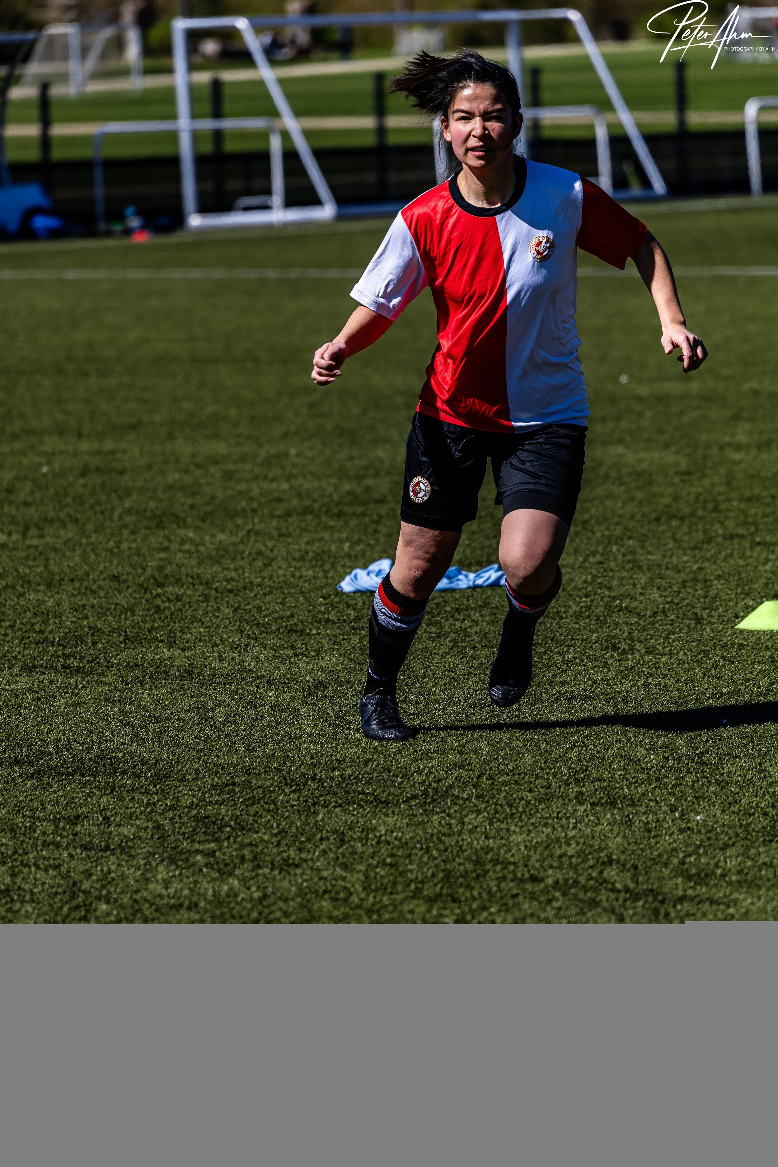 skjold-olstykke 260426 (98).jpg