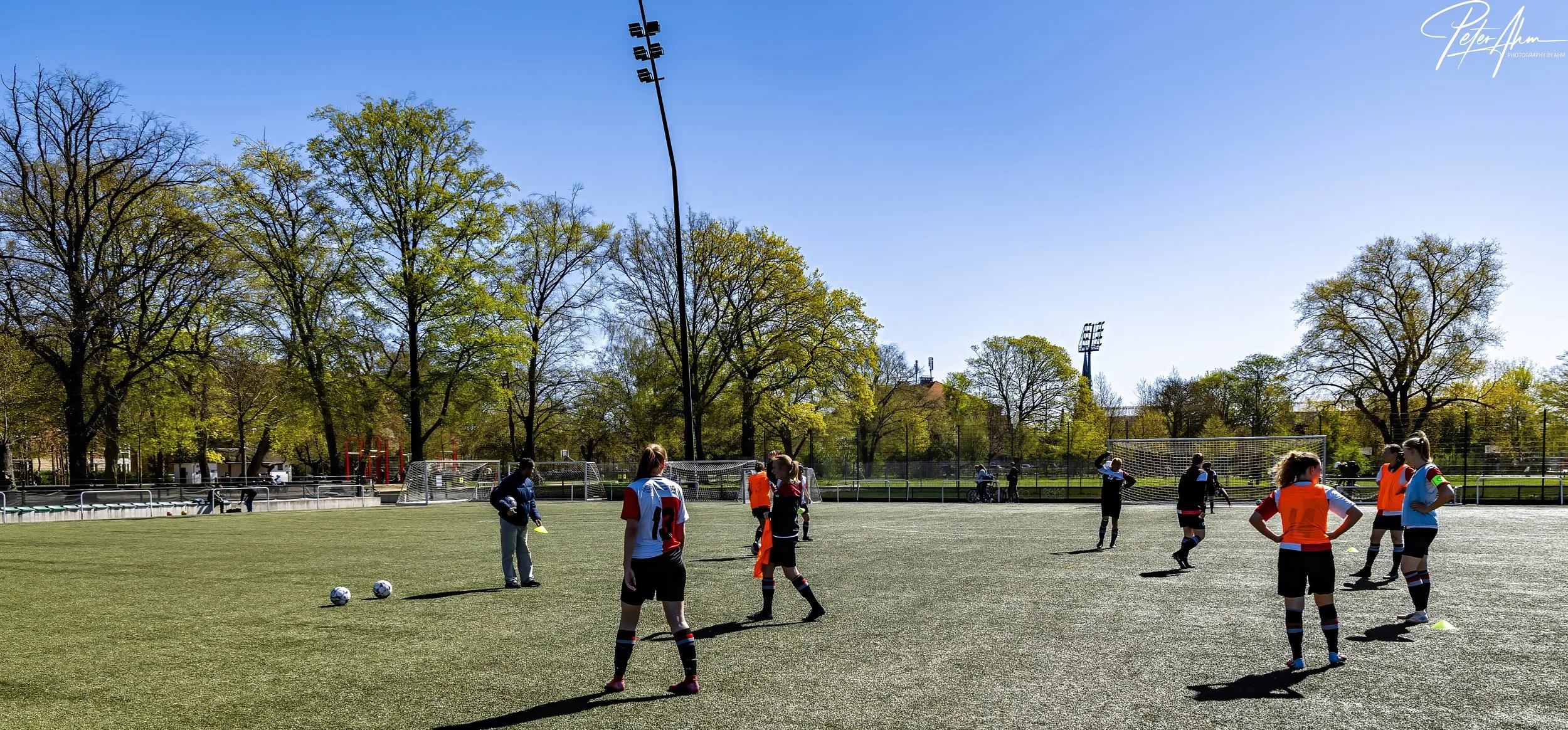 skjold-olstykke 260426 (38).jpg